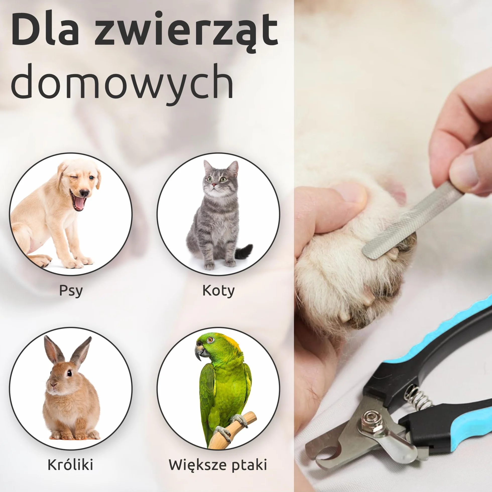 ECENCE Nożyczki do pazurów dla psa i kota - cążki do pazurów - profesjonalna jakość - Pilnik do paznokci - Pielęgnacja pazurów - Obcinacz do pazurów dla psów średniej wielkości
