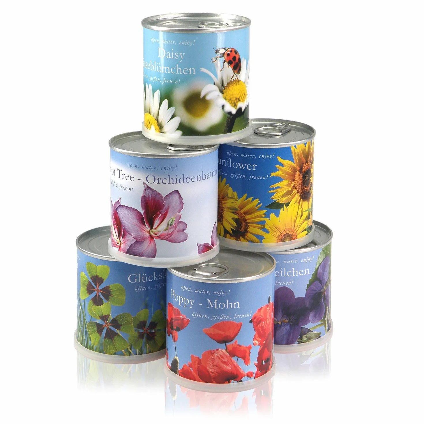 Frangipani | zestaw do uprawy jako specjalny prezent | otwarcie podlewania radości, motyw "Dankeschön", drzewo świątynne, joga, drzewo do jogi, żółte