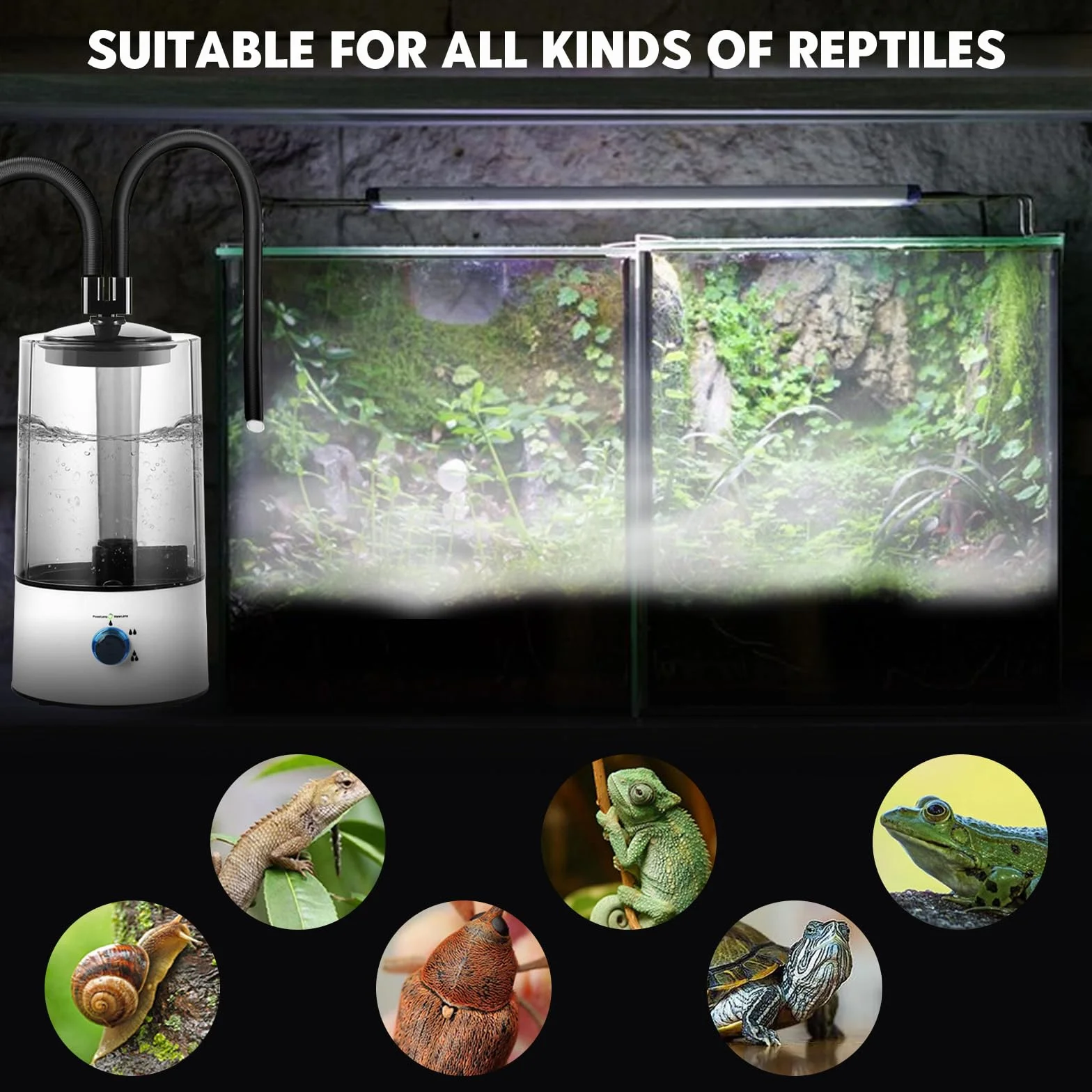 4 l nawilżacz powietrza do terrarium, nebulizator terrarium z wysuwaną podwójną warstwą, trzystopniowa regulacja wielkości rozpylania, terrarium, nawilżacz powietrza do różnych gadów