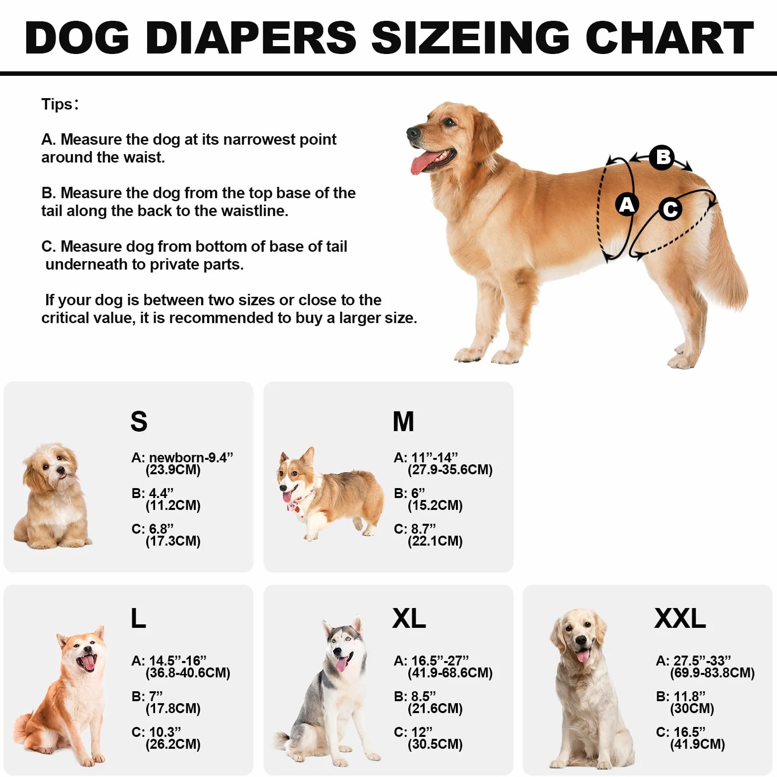 Premium Doggie Diaper dla psów, wielorazowe pieluchy, opakowanie 3 szt., wysoce chłonne, M
