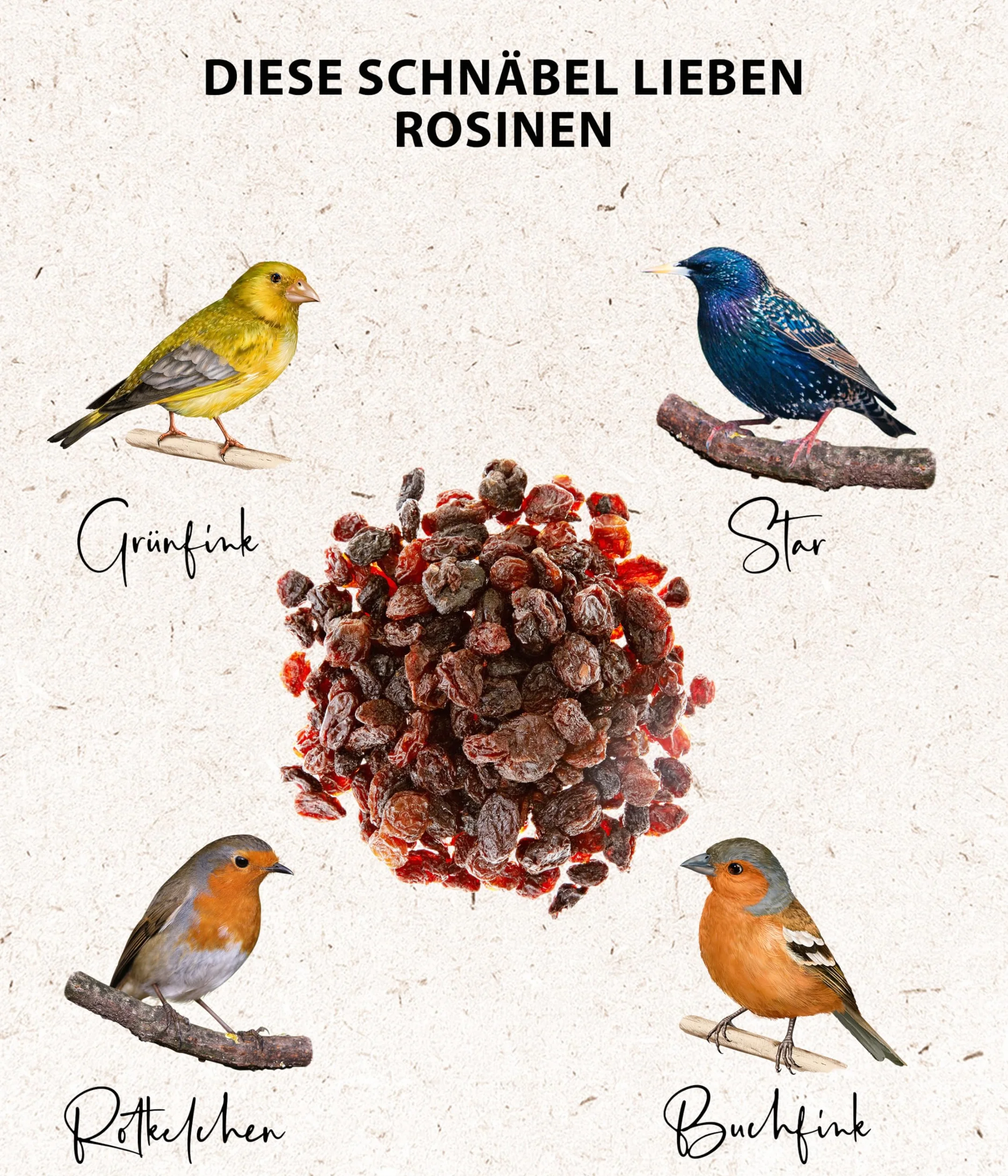 Dehner Natura karma dla dzikich ptaków 2 kg