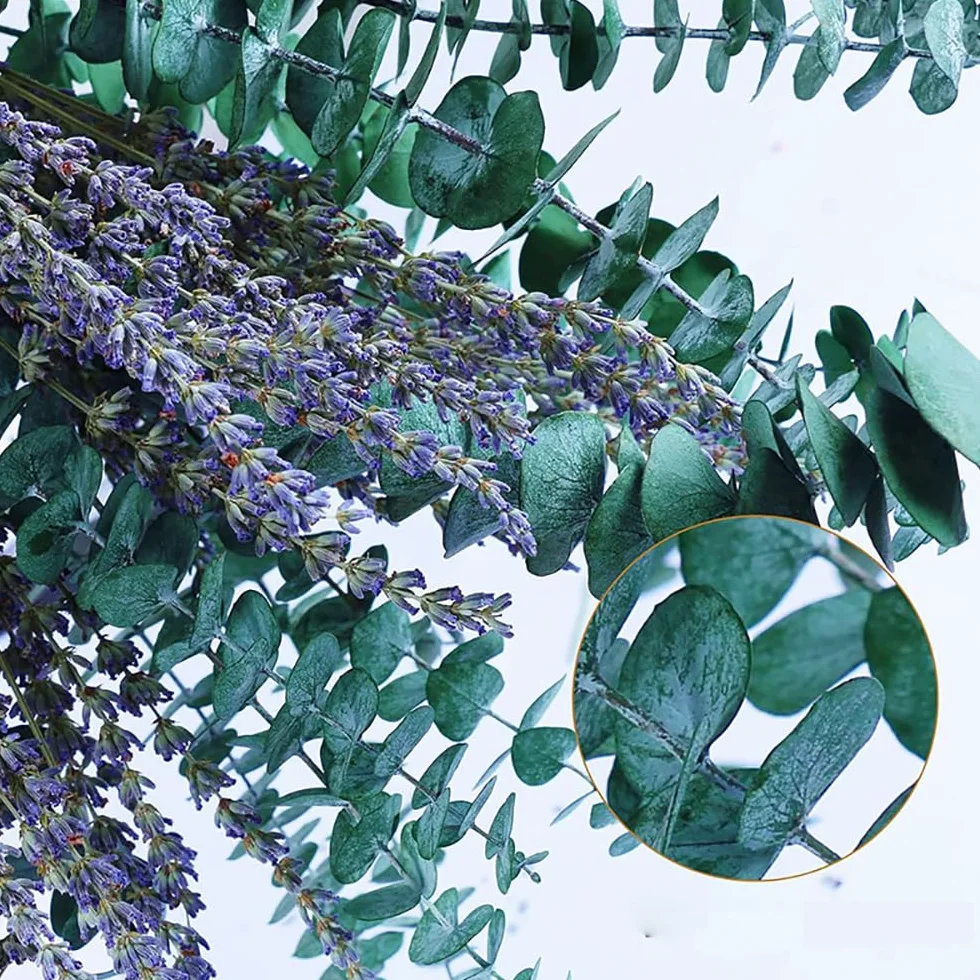 Zachowany eukaliptus suszony i suszony lawenda naturalne suszone kwiaty Deco DIY bukiet suszonych kwiatów, bukiet trawy pampasowej kwiat trzciny deco idealny do salonu Boho sypialni