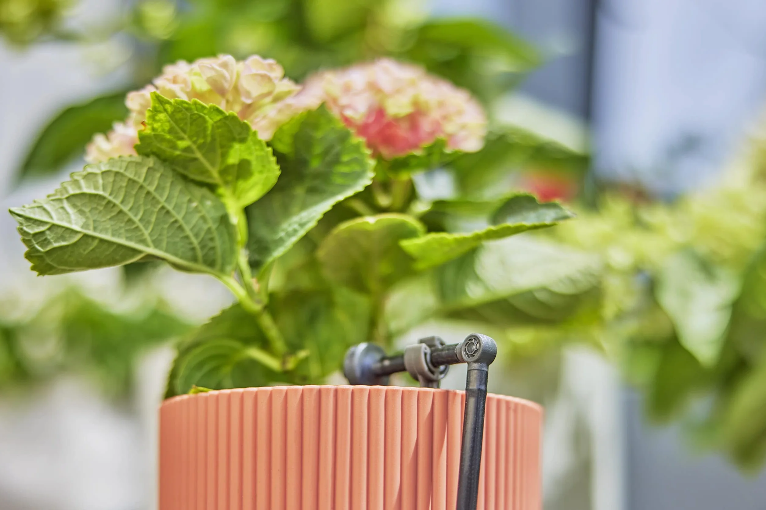 Gardena System Micro-Drip element L 4,6 mm (3/16 cala): Do zmiany kierunku o 90 stopni rur rozdzielających i kroplujących, instalacja bez zagięć, technika połączeniowa Easy & Flexible (13212-20)
