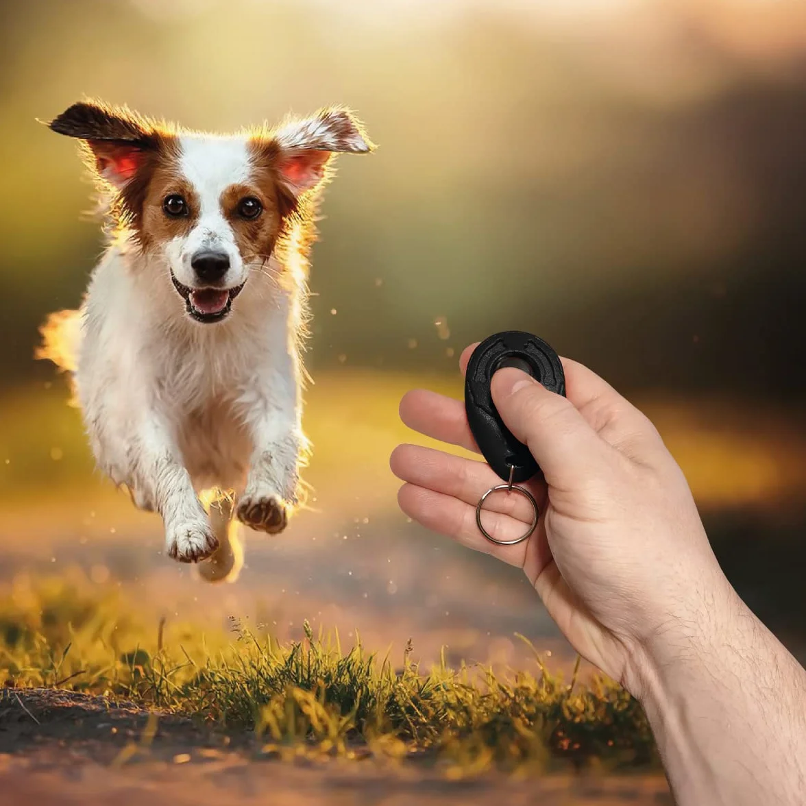Clicker dla psów z brelokami, szkolenia i szkolenia, Dog Training - Pies, Kot, Koń – Łatwy uchwyt, Trenuj prawidłowe zachowanie (czarny)