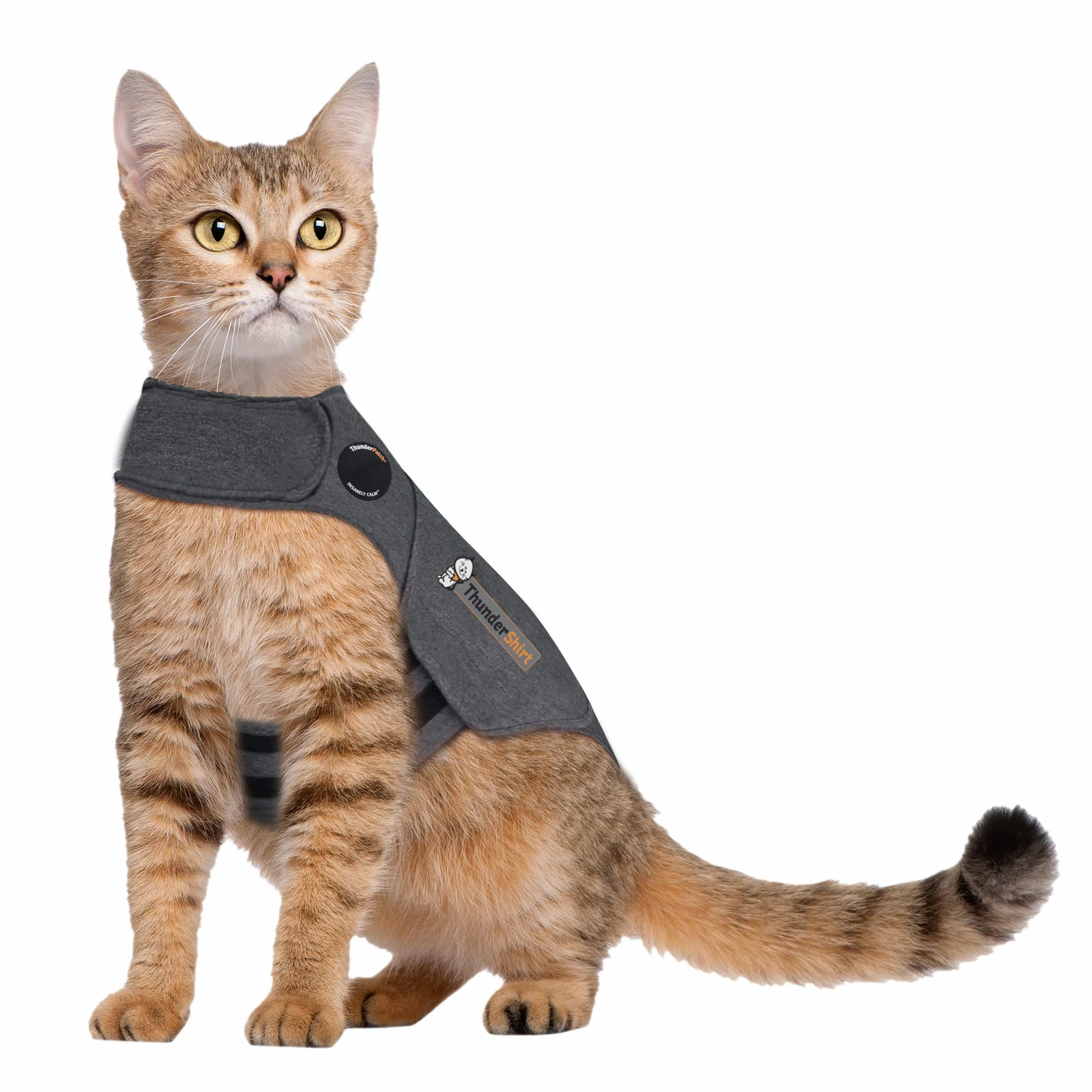 Thundershirt Dla kotów M