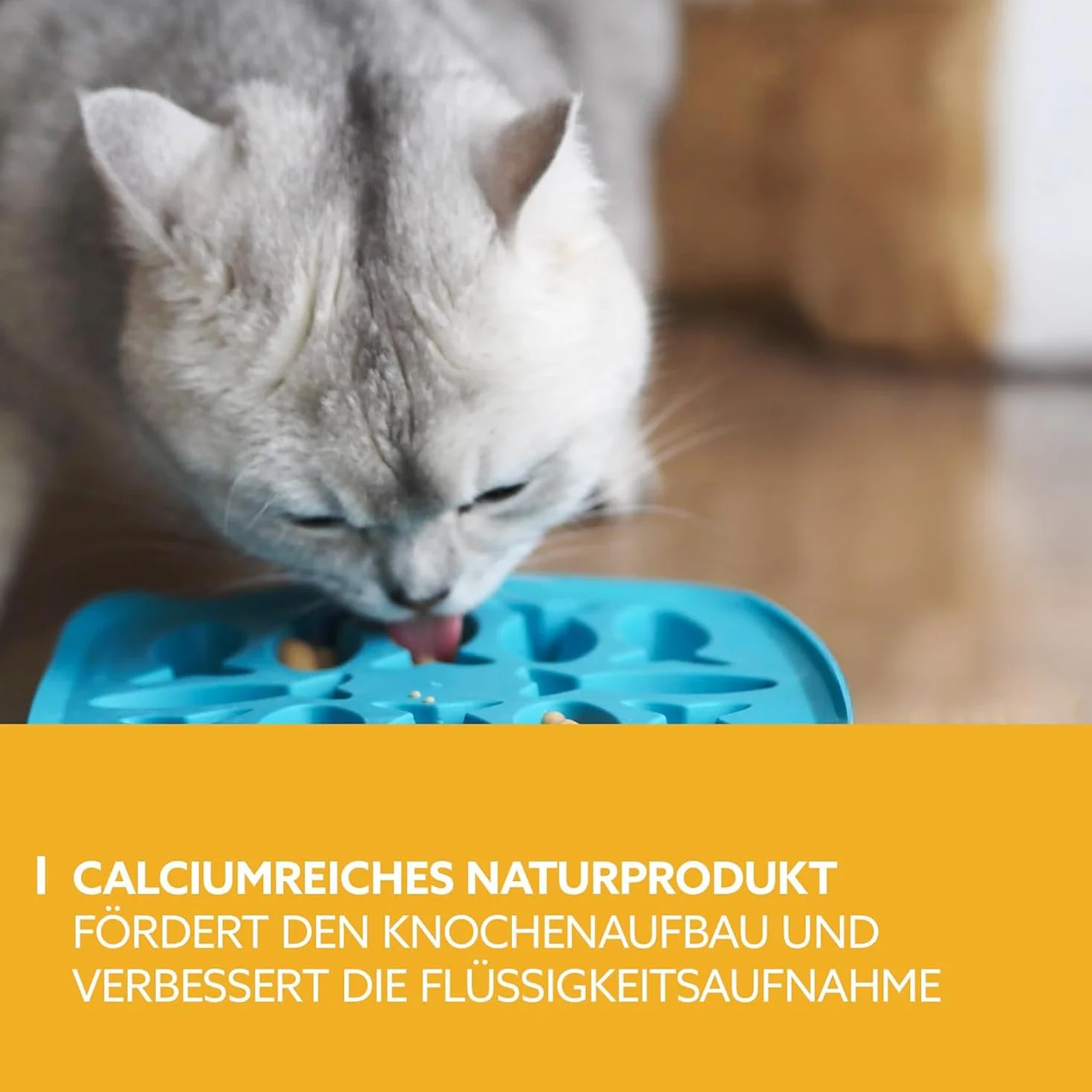GimCat Pudding z wapniem dla kotów - Przysmak mleczny o obniżonej zawartości laktozy 150g