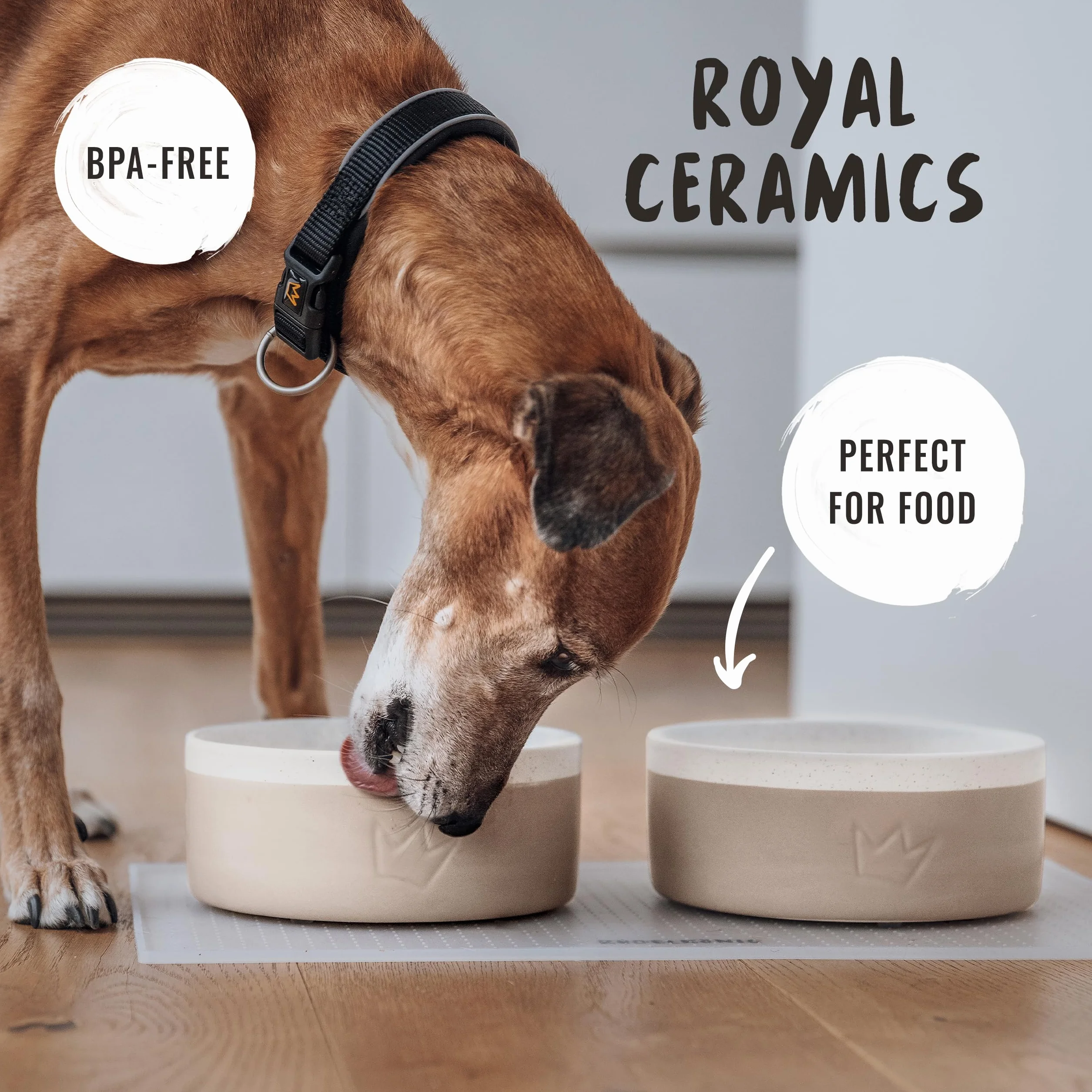 Rudelkönig Ceramiczna miska dla psa Zestaw 2 x 900 ml Antypoślizgowa z bezpieczną glazurą