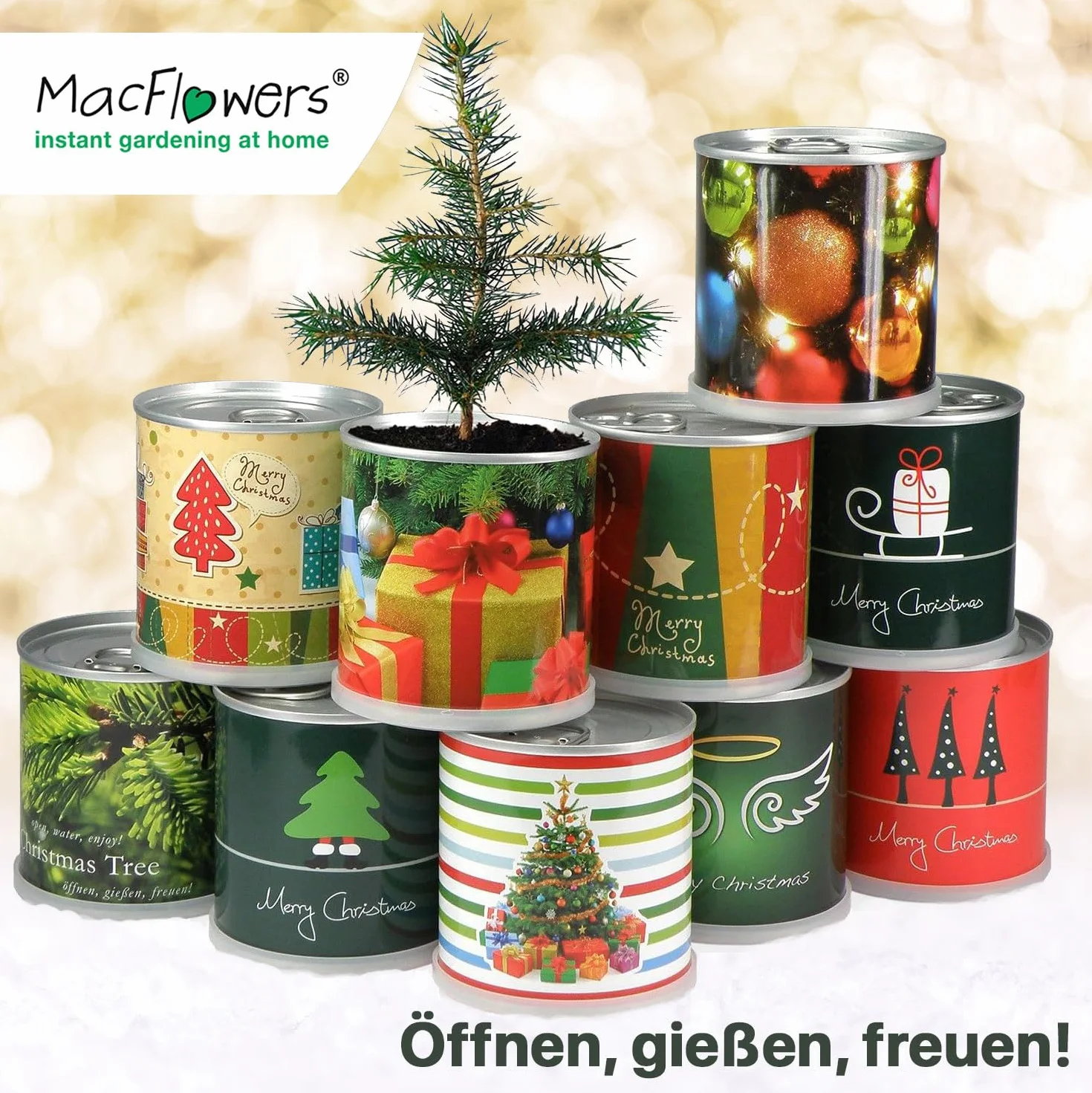 Choinka w puszce – 4 x choinka mieszana