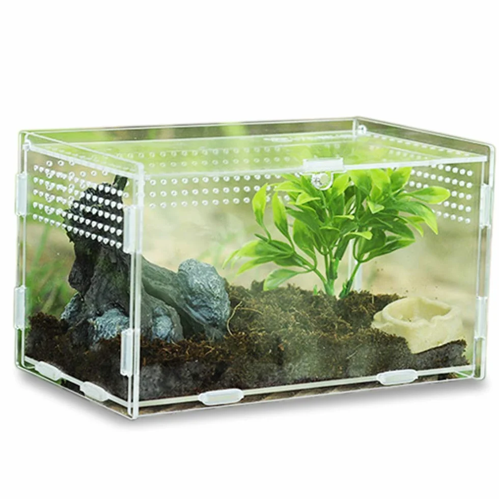 Skrzynka do karmienia, akrylowe pojemniki, terrarium dla pająka, jaszczurki, żaby, skorpiona, przenośne siedlisko dla zwierząt domowych, konstrukcja zapobiegająca ucieczce, przezroczyste 1