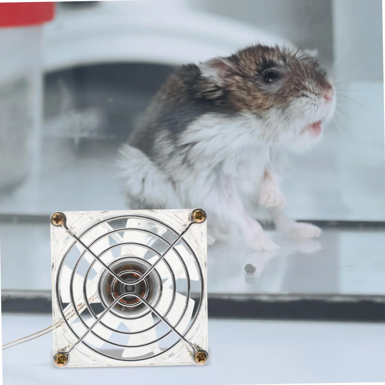 Toyvian Przenośny Wentylator Biurkowy USB Dla Psów Terrarium