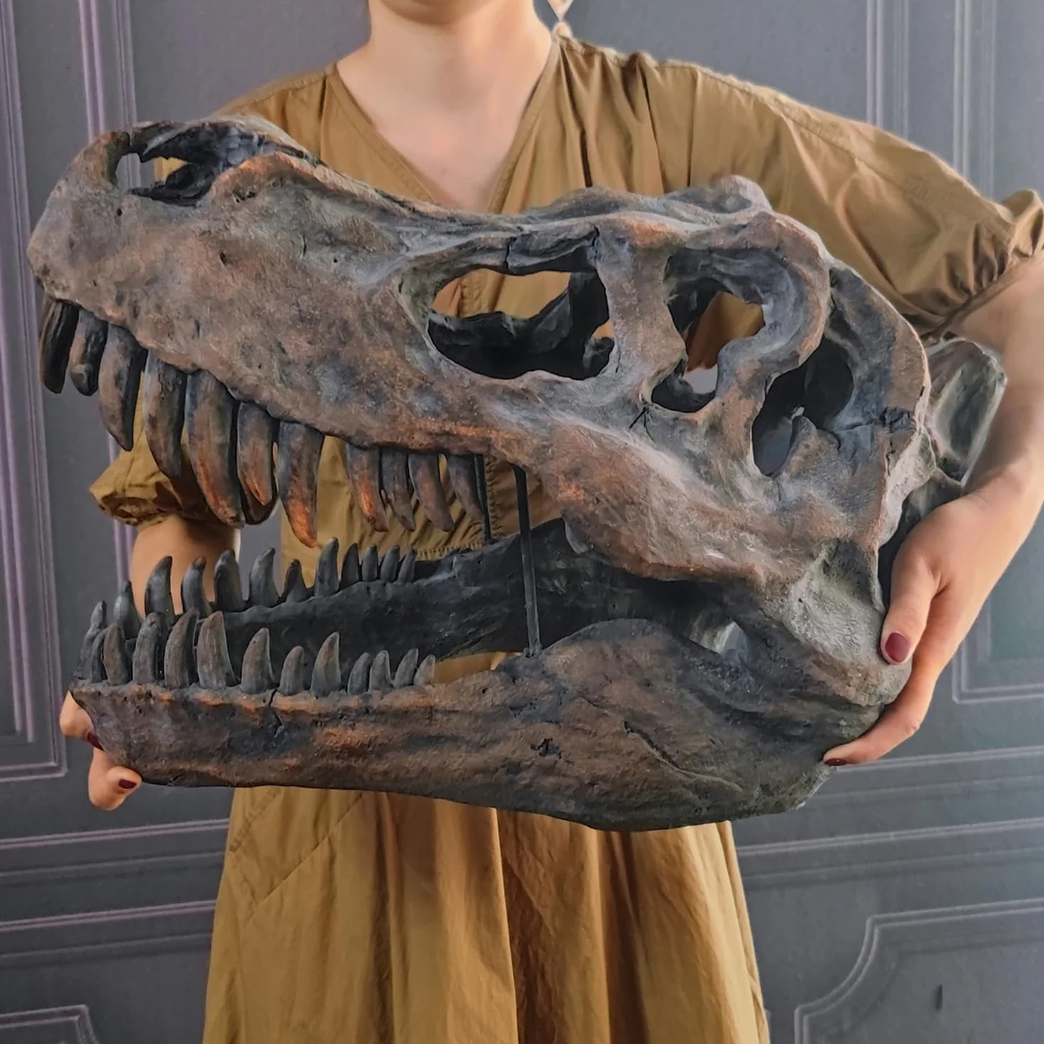 Gigantyczny tyranozaur rex czaszka dinozaura wisząca figurka skamieniałości T-rex czaszka naścienna głowa dinozaura trofeum sztuczna wypychanie figurka ścienna dekoracja ścienna rzeźba 50 cm