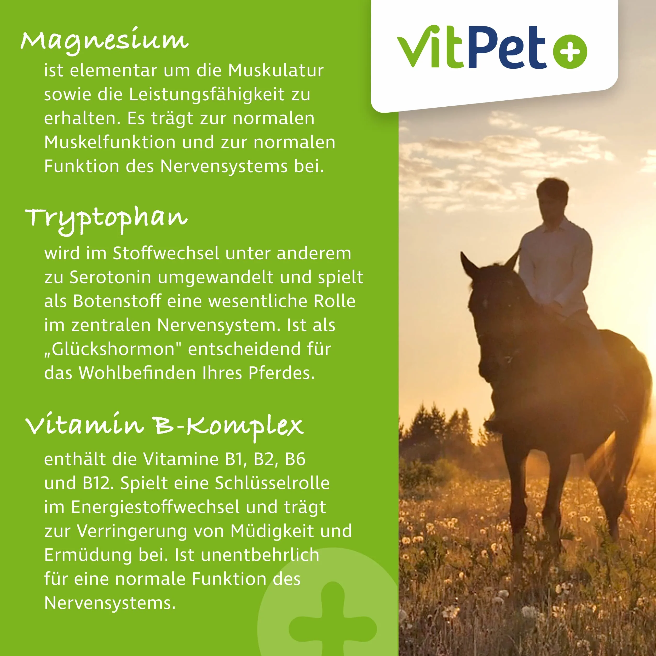 MagRelax suplement magnezu dla koni z tryptofanem i witaminą B 2 kg