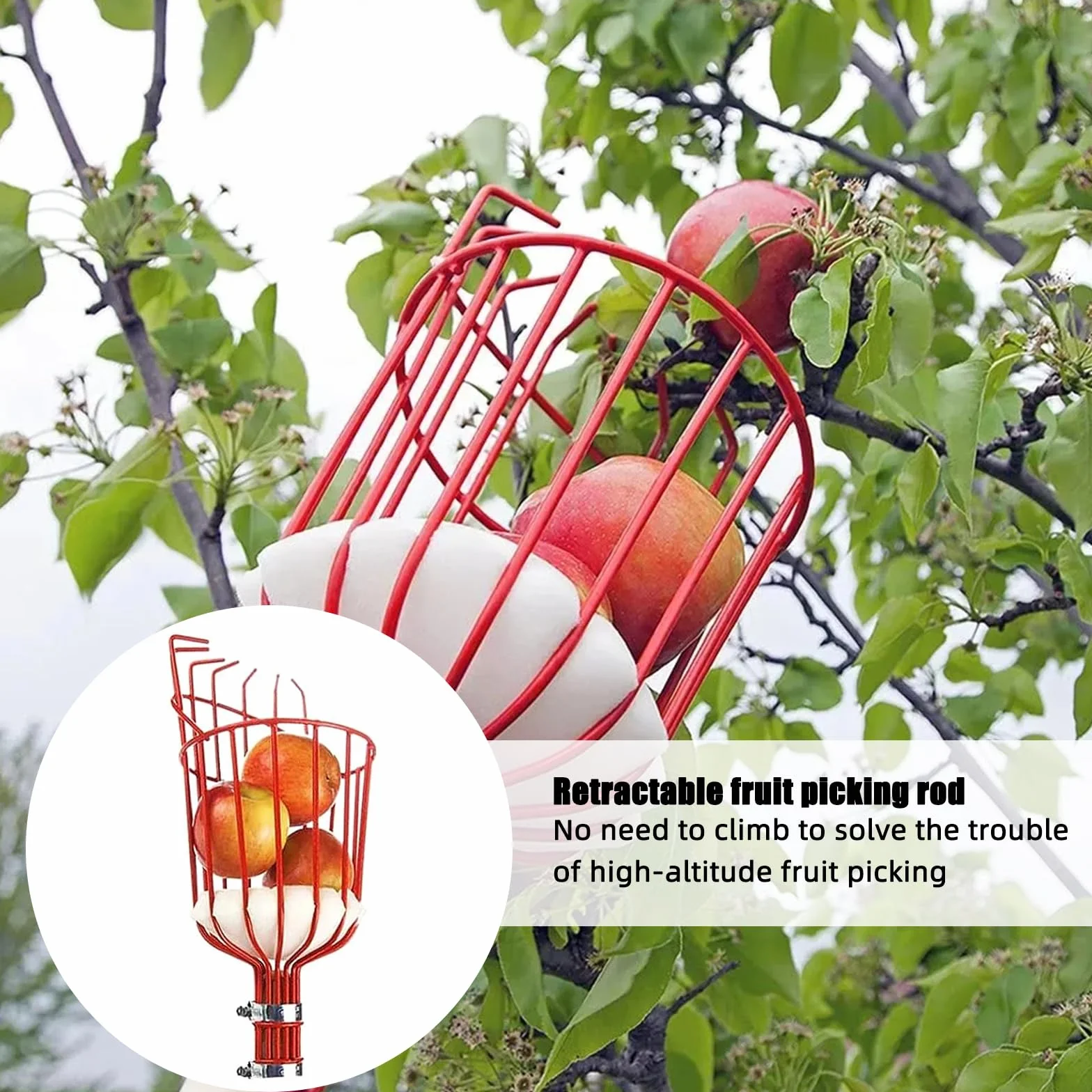 Zbierak do owoców z trzonkiem teleskopowym, 1,6/2,8/4,2 m, zbieracz do jabłek, wiśni, z lekkim słupkiem teleskopowym ze stali nierdzewnej, zbieracz śliwek (4,2 m, tworzywo sztuczne)