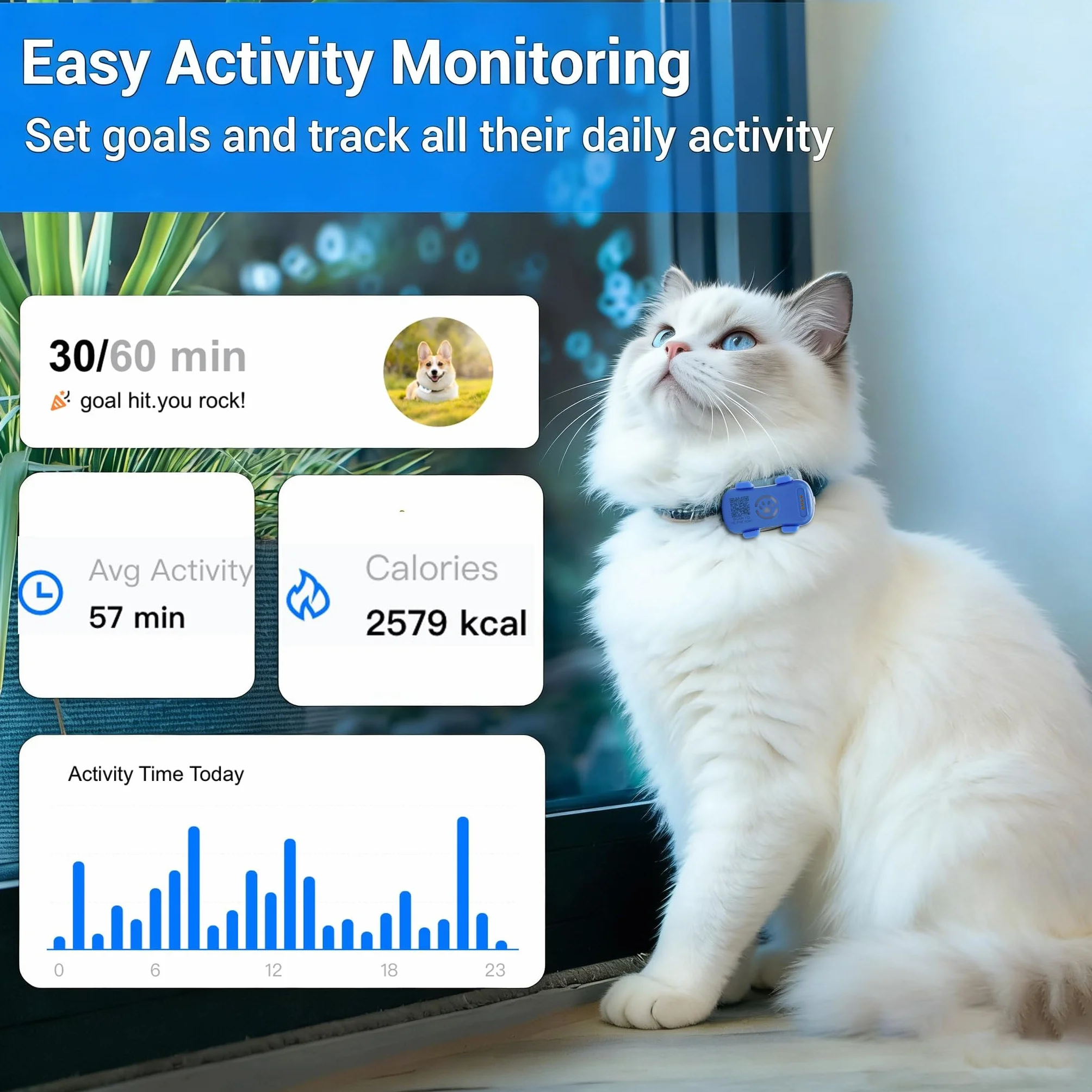 GPS Tracker dla psów 4G w pełni wodoodporny monitor aktywności nieograniczony zasięg