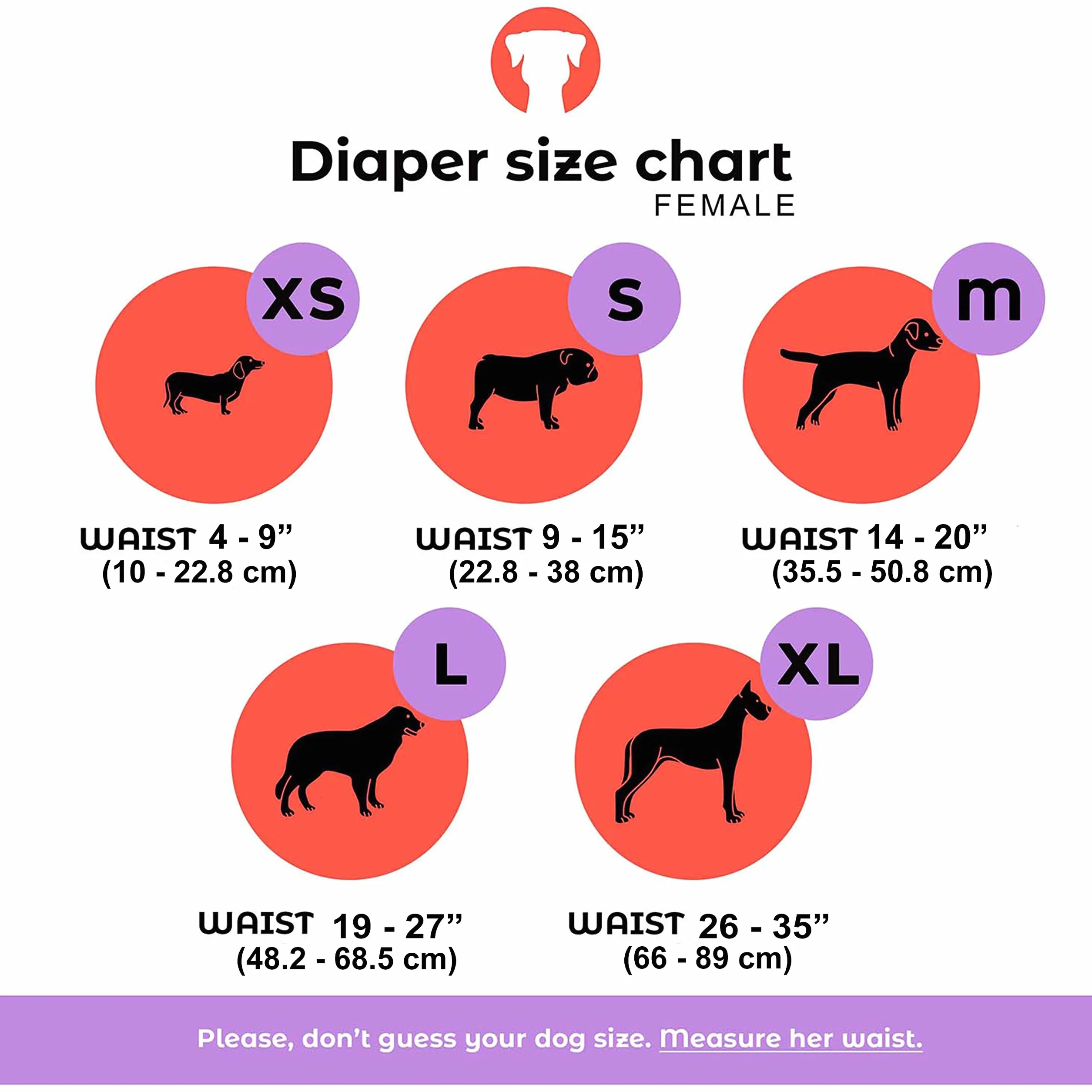 Dog Washable Diapers & Reusable by PETTING IS CARING - Female Dog Diapers Materials Durable Machine Washable Simple Solution for Pets Incontinence Long Travels Pants - 3 Pack Set (L, NEW DESING)