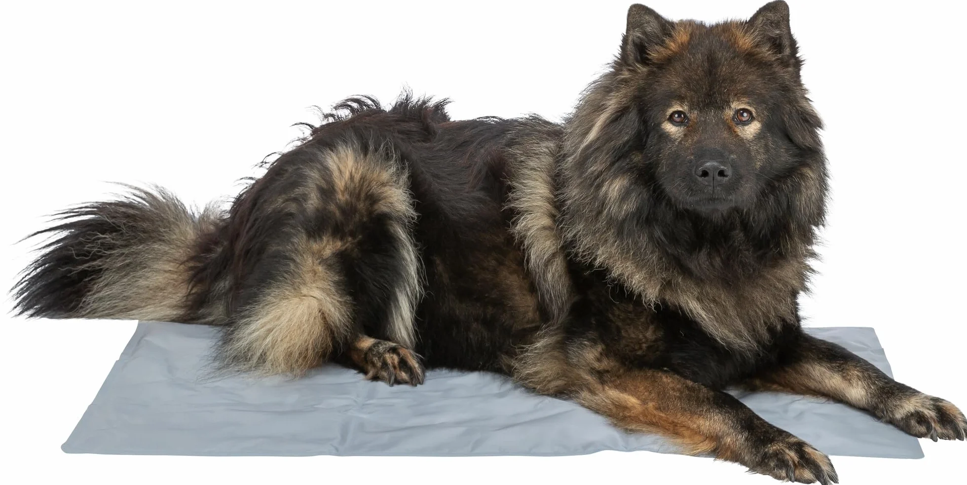 Trixie Mata chłodząca dla psów i kotów, 28684, 65 x 50 cm, niebieska, chłodzi przez kilka godzin poprzez kontakt z ciałem