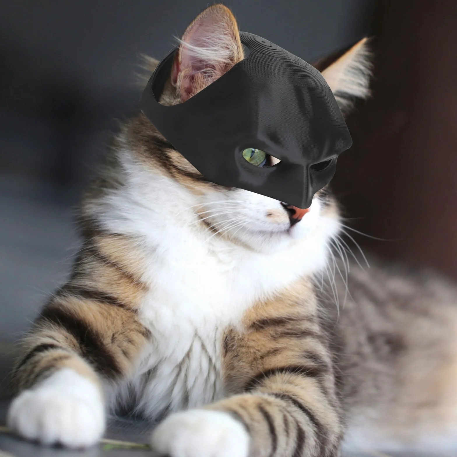 HENGBIRD Maska dla kotów Batman, czarna maska nietoperza, kostium Batcat Halloween 13 cm