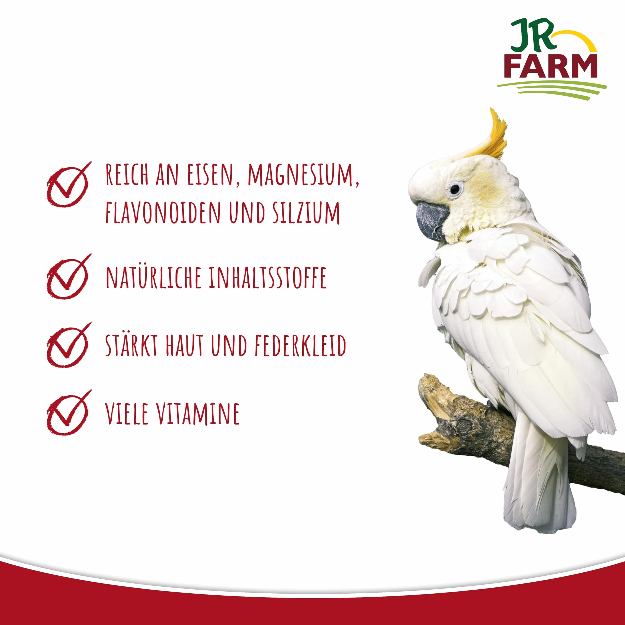 JR FARM proso tłokowe czerwone 500 g