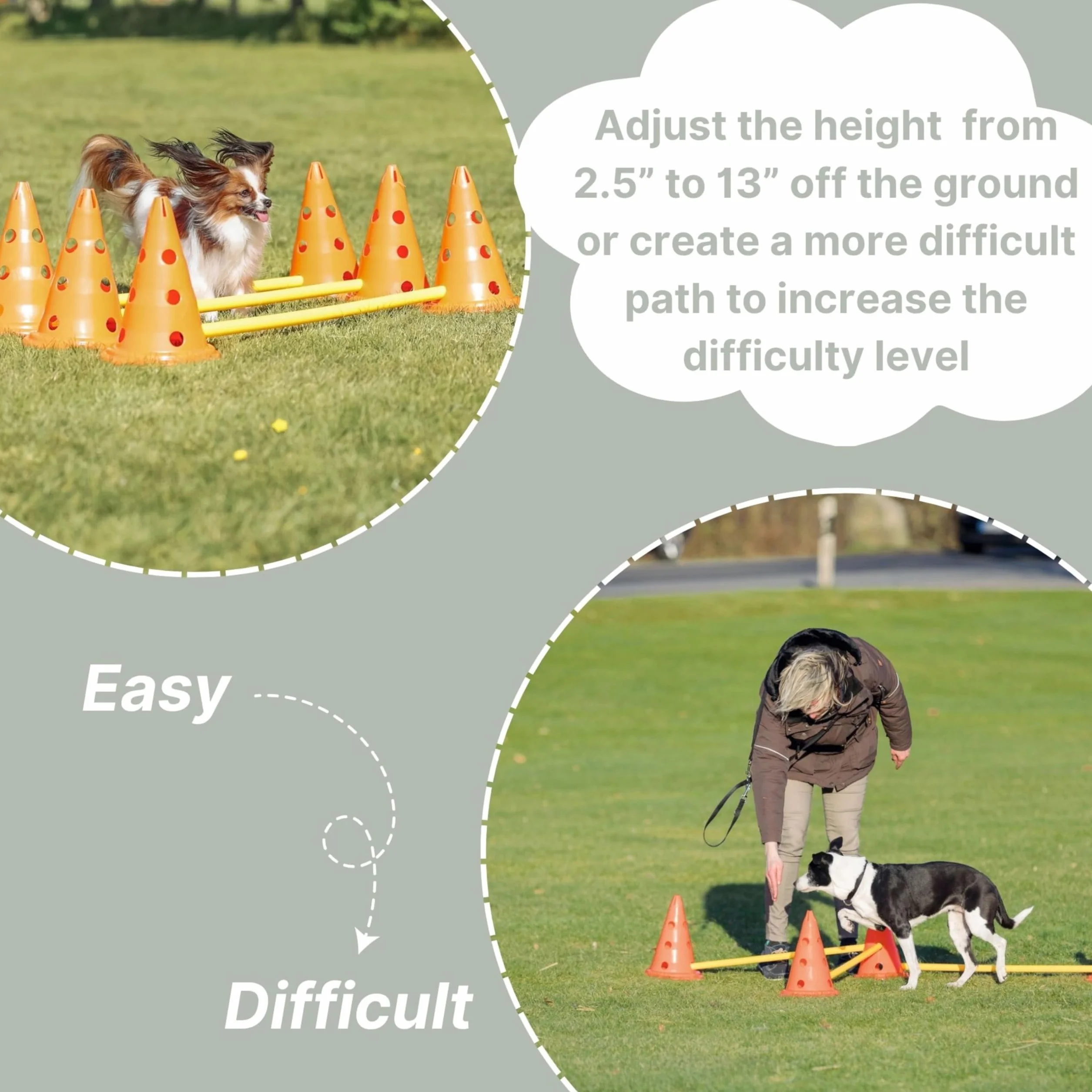 Trixie Zestaw przeszkód dla psów do agility, regulowana wysokość, 6 pachołków, 3 drążki