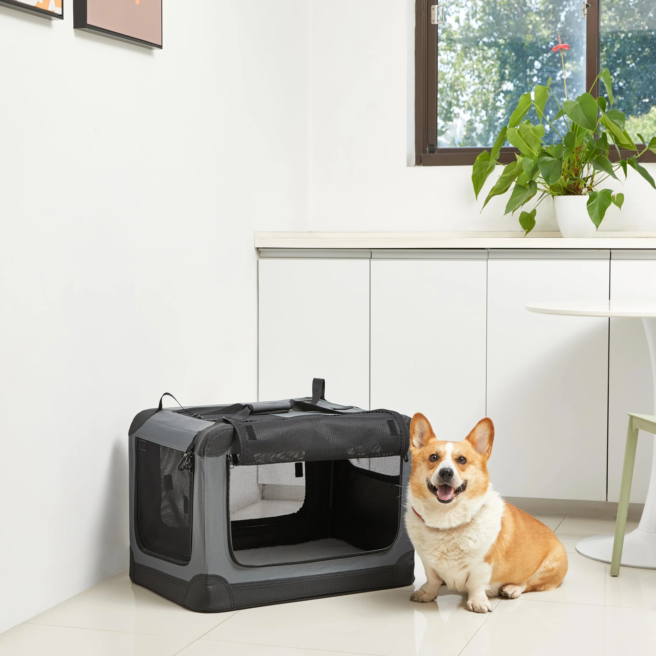 Amazon Basics 4 drzwiowy składany transporter podróżny dla kotów, psów, szary, S 66cm x 46cm