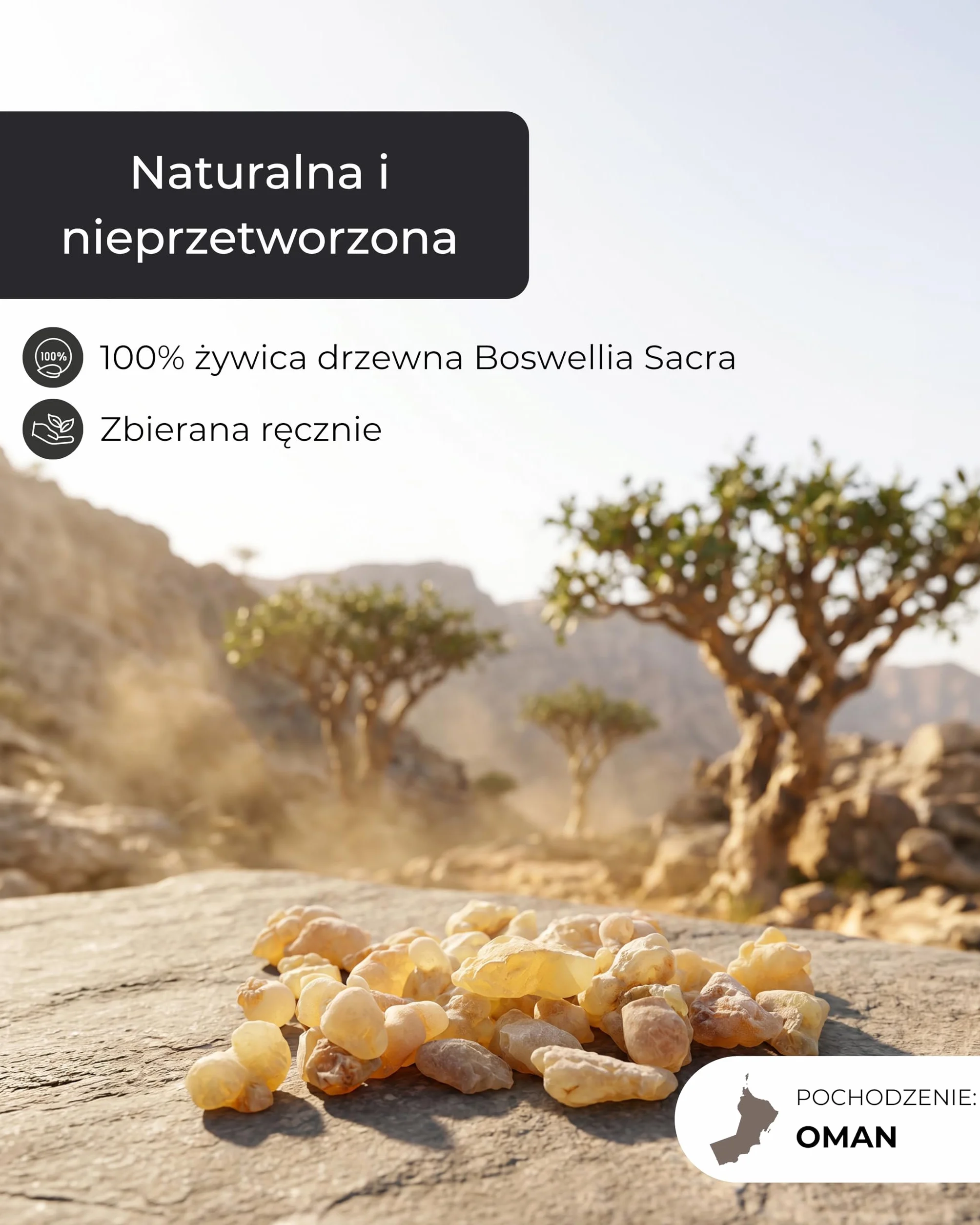 Incensera Kadzidło Oman 50 g – żywica palenia i oczyszczania z negatywnej energii, wysokiej jakosci kadzidełko, idealne do oczyszczenia domu