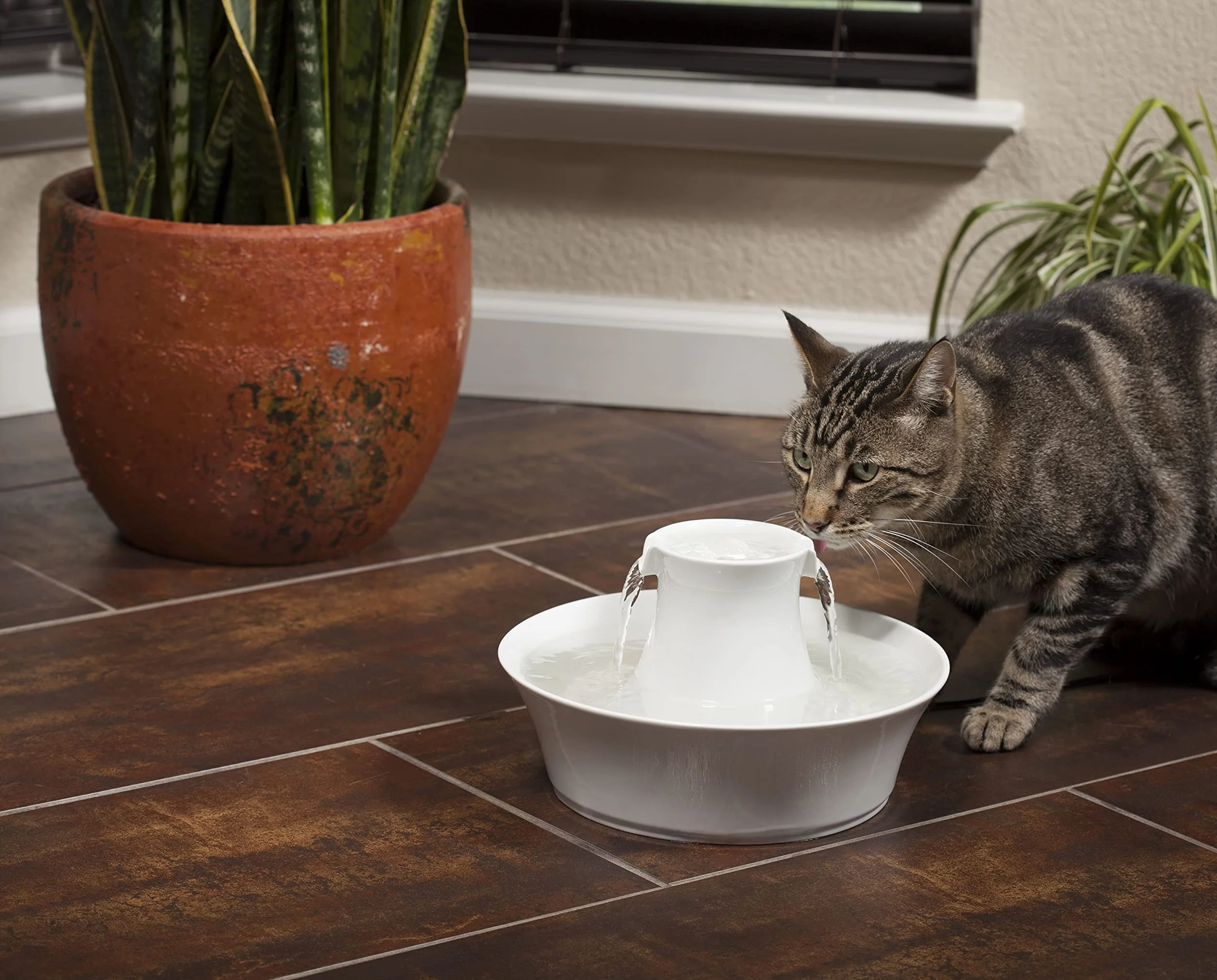 PetSafe Drinkwell Ceramiczna fontanna do picia Avalon 2 L biała