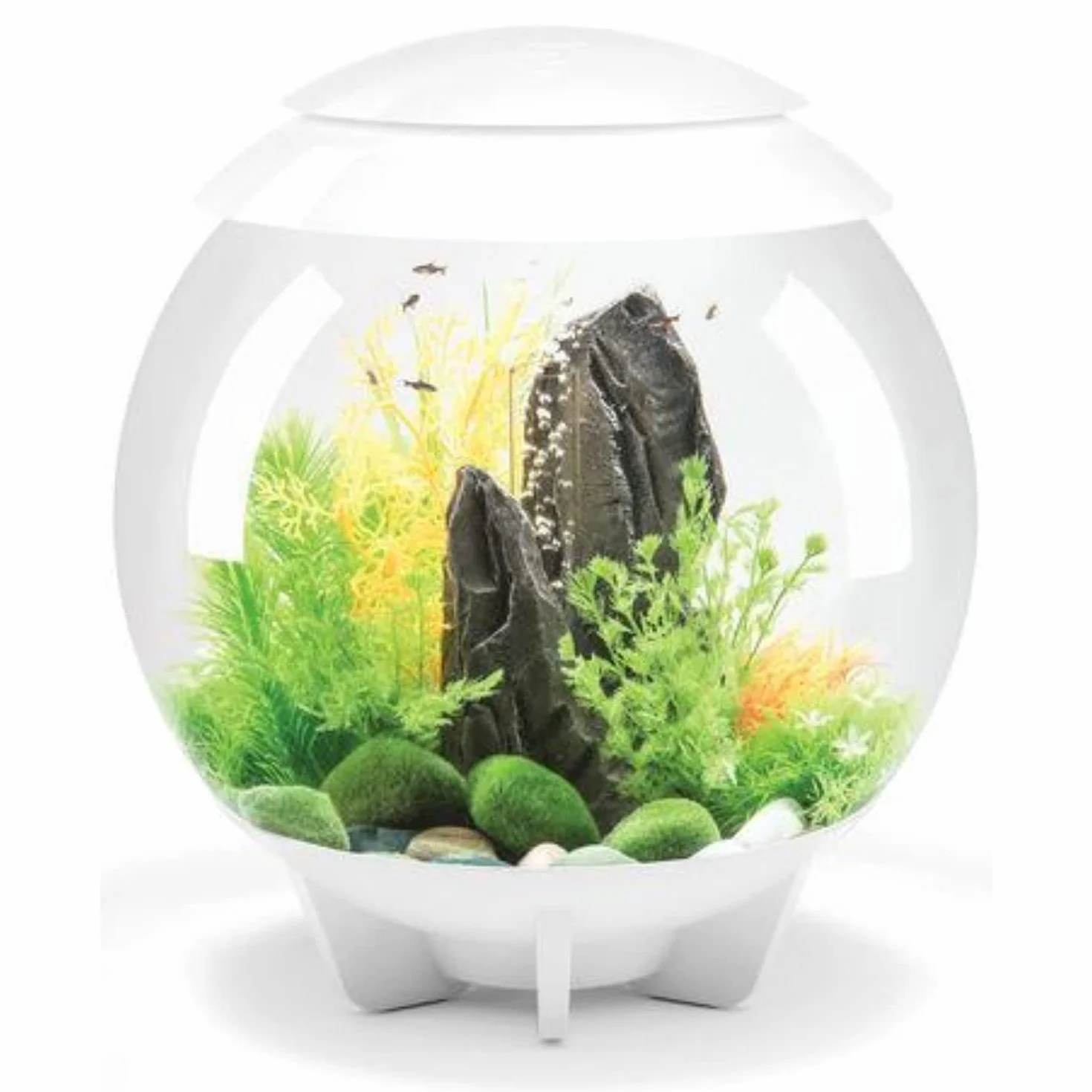 biOrb HALO 30 akrylowe akwarium 20 l z wielokolorowymi zdalnie sterowanymi światłami LED, nowoczesny zbiornik do ekspozycji stołowej, biały