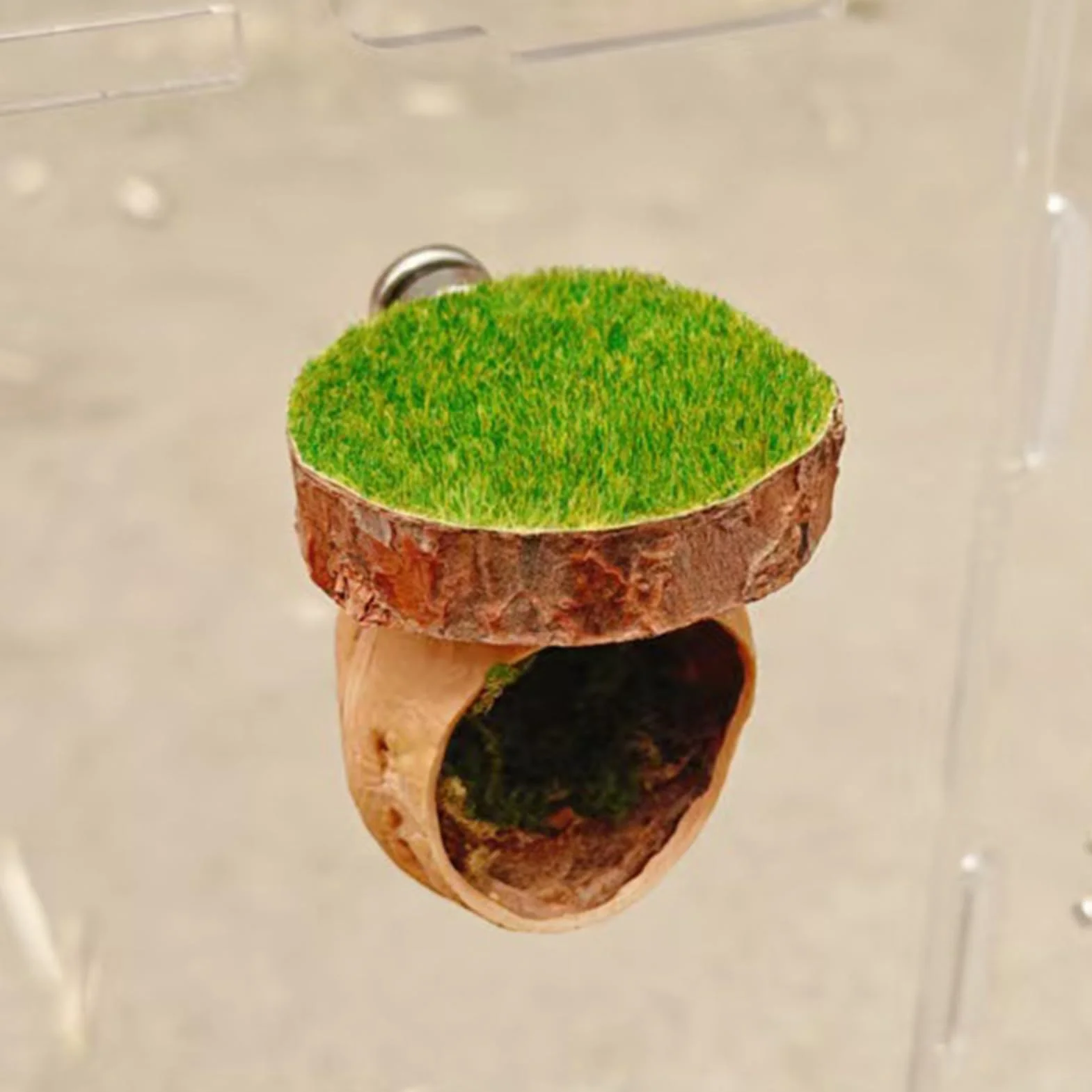 Spider Hide Shelter Magnetic Pet Habitat 1.57x2.36 Inches Handmade Reptile Accessory Jumping Spider Tarantula House