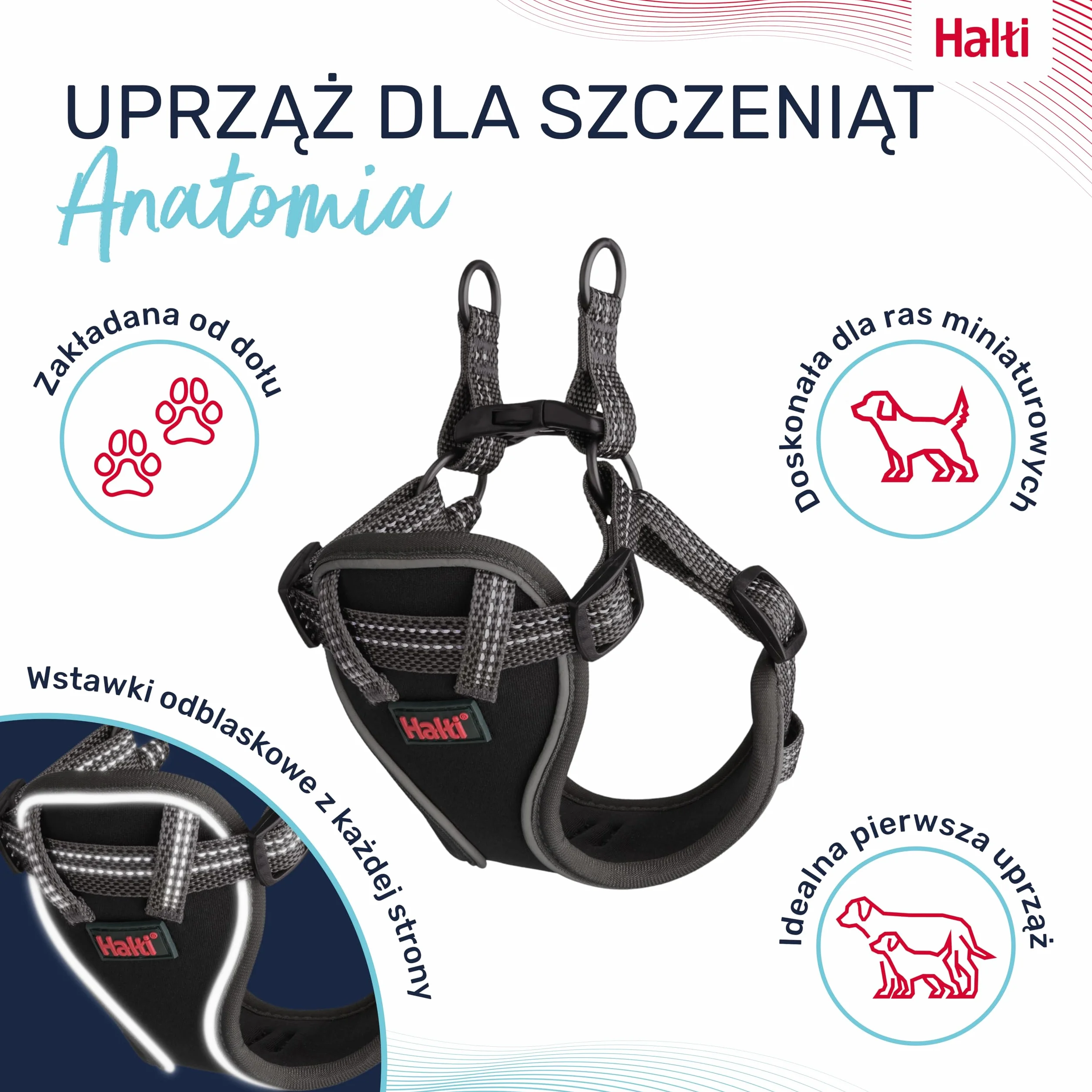 HALTI Anatomy uprząż dla szczeniąt XXS szary 4 punkty regulacji