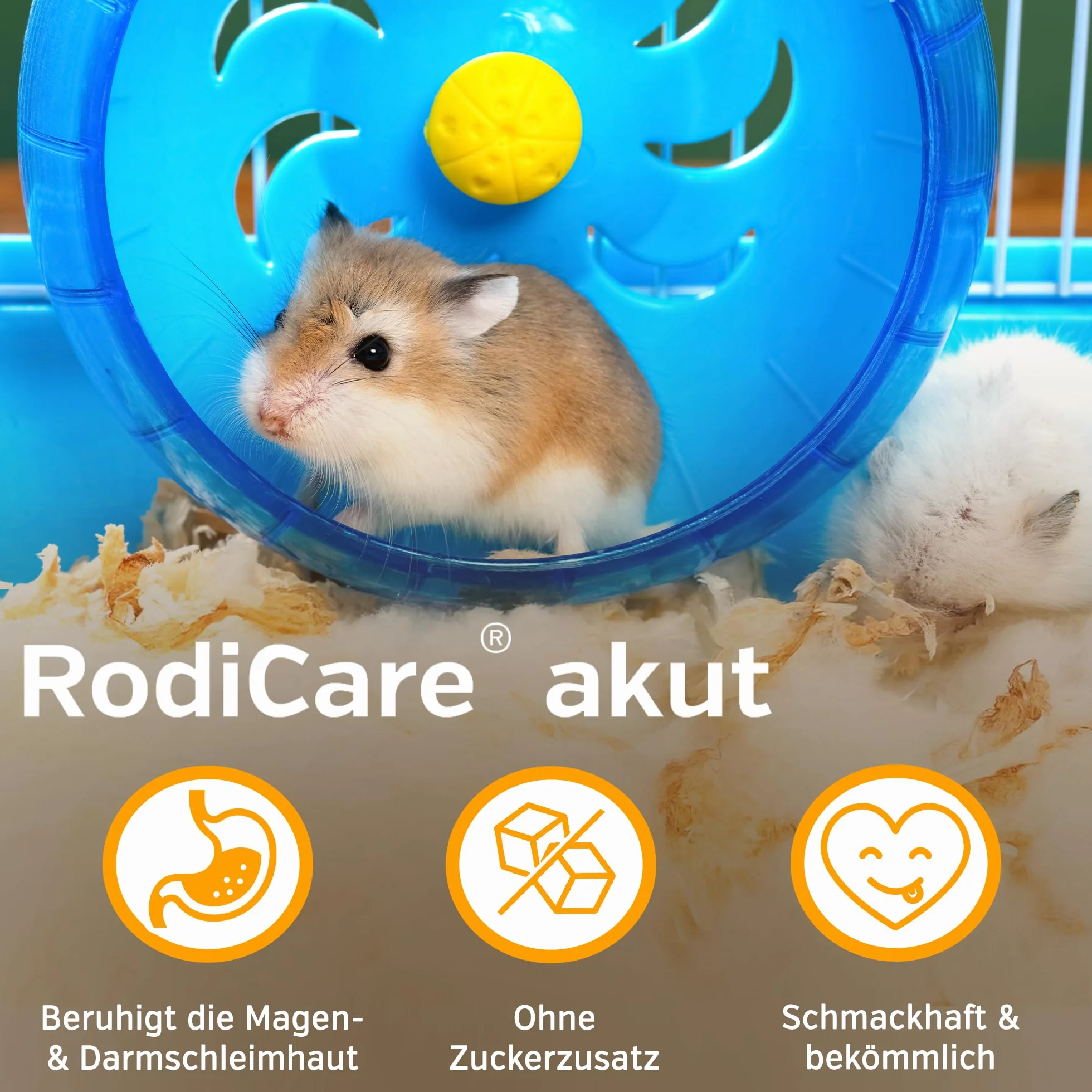 Alfavet RodiCare karma uzupełniająca do regulacji procesów trawiennych dla królików, świnek morskich i małych gryzoni, szklana butelka 15 ml ze strzykawką dozującą