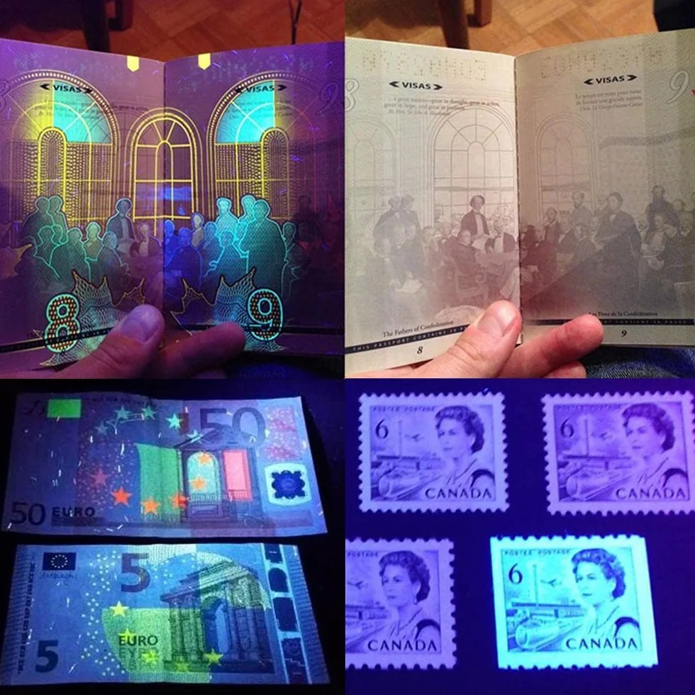 MMOBIEL - Latarka UV z czarnym światłem 51 LED Detektor moczu psa/kota/królika, plam, wykrywacz skorpiona, pluskwa, suszenie kleju UV, wykrywacz fałszywych banknotów.