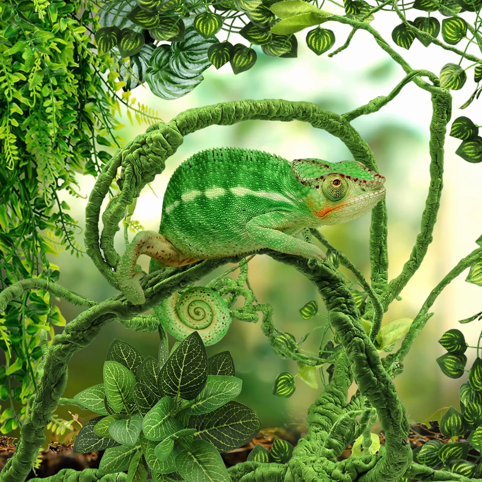 QUOZUO Brodaty smok Zbiornik Akcesoria do Zbiornika Dla Siedlisk, Wiszące Rośliny Terrarium Sztuczne Liście Gekon Lampart Akcesoria Zbiornik