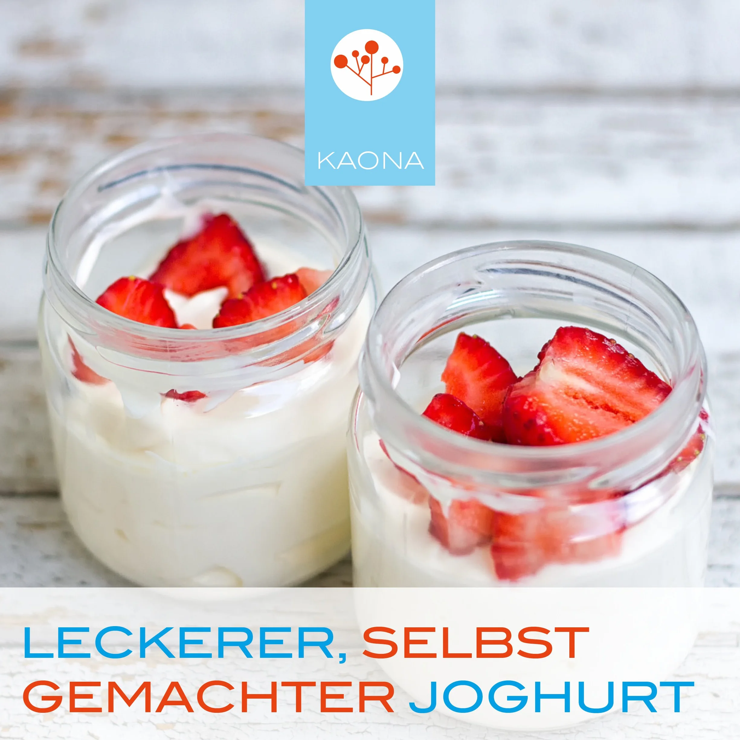 Kultura jogurtu - ferment do produkcji probiotycznego jogurtu (10 g proszku)