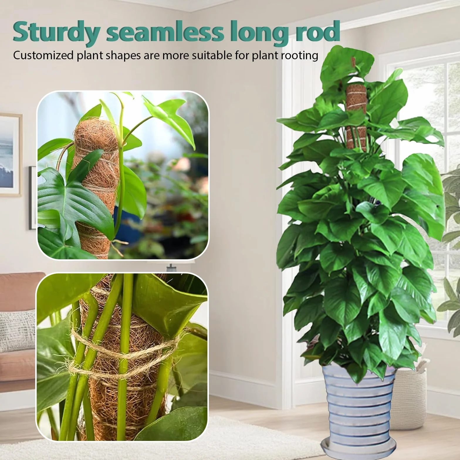 Podpórka do roślin, 120 cm, do monstery, giętka podpora roślin do użytku w pomieszczeniach, pomoc przy chorobie monstera, giętka, pomoc we wspinaniu się roślin, pnącze do góry, do roślin pnących