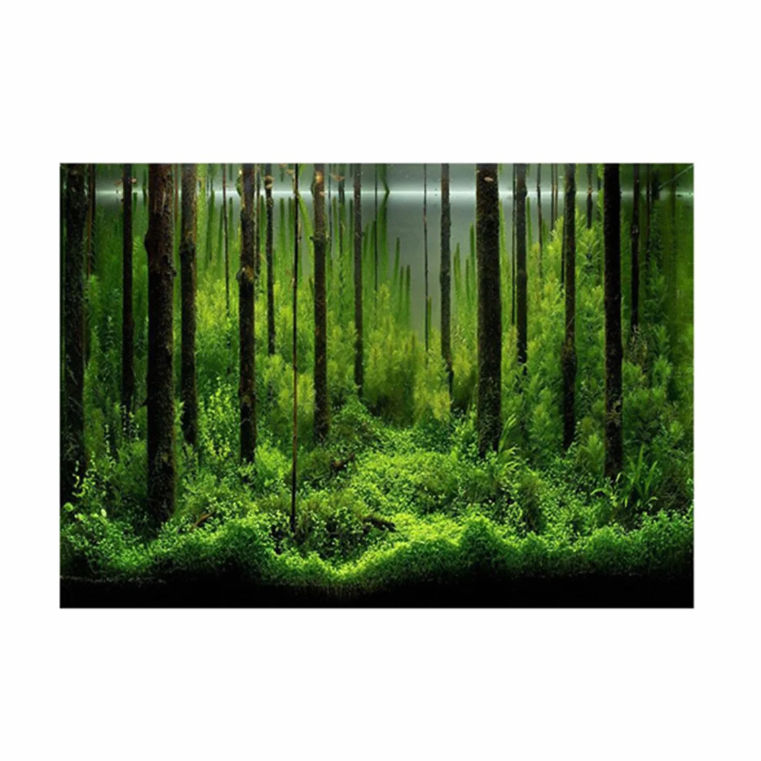 Dekoracyjny plakat akwarium tło las PCW 61 x 30 cm