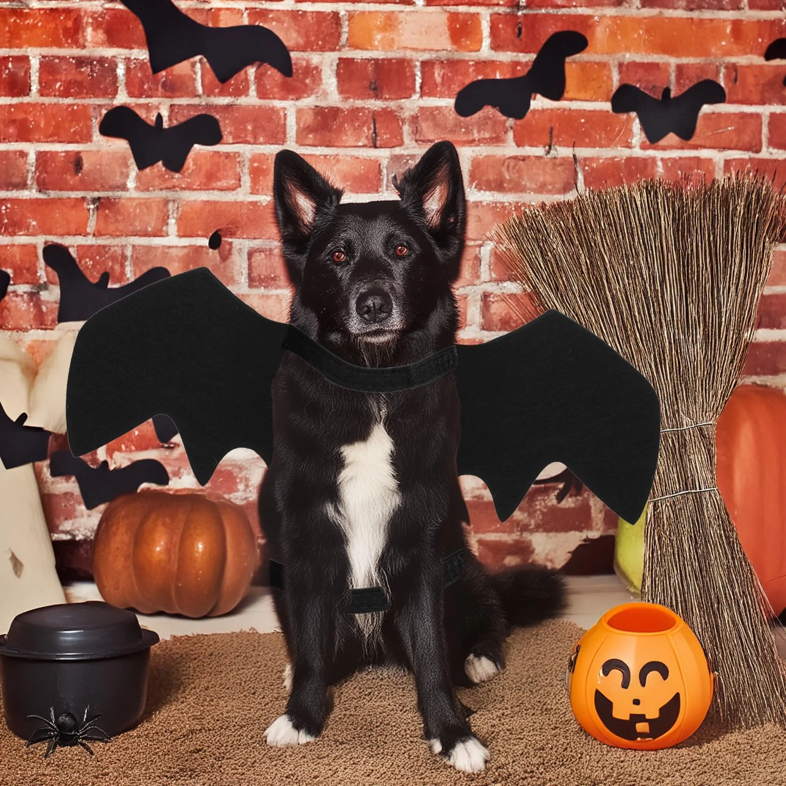 Kostium na Halloween dla kota z czarnymi skrzydłami nietoperza