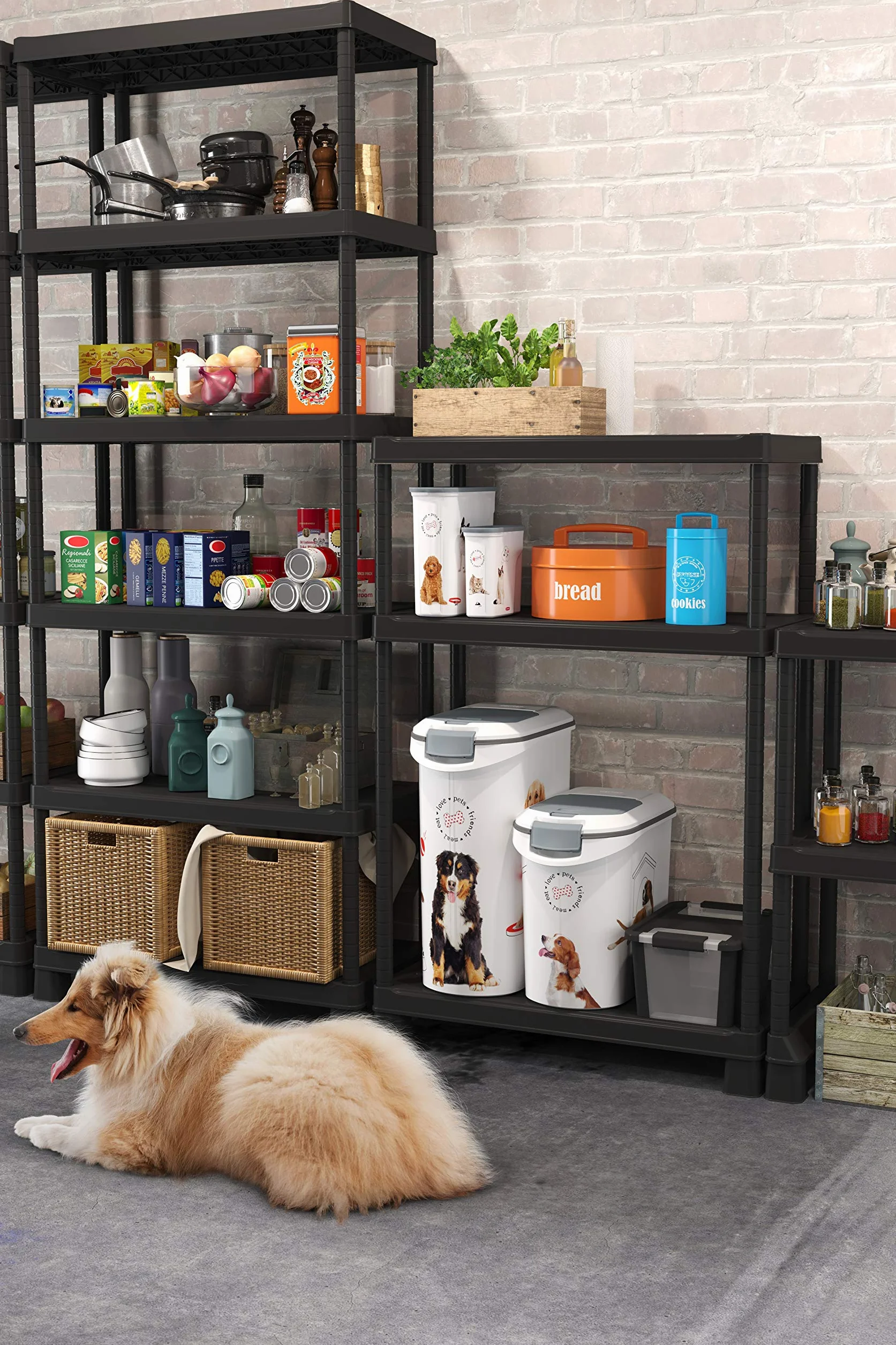 Curver Love Pets Pojemnik na Karmę 20 kg 54 l Biały Szary