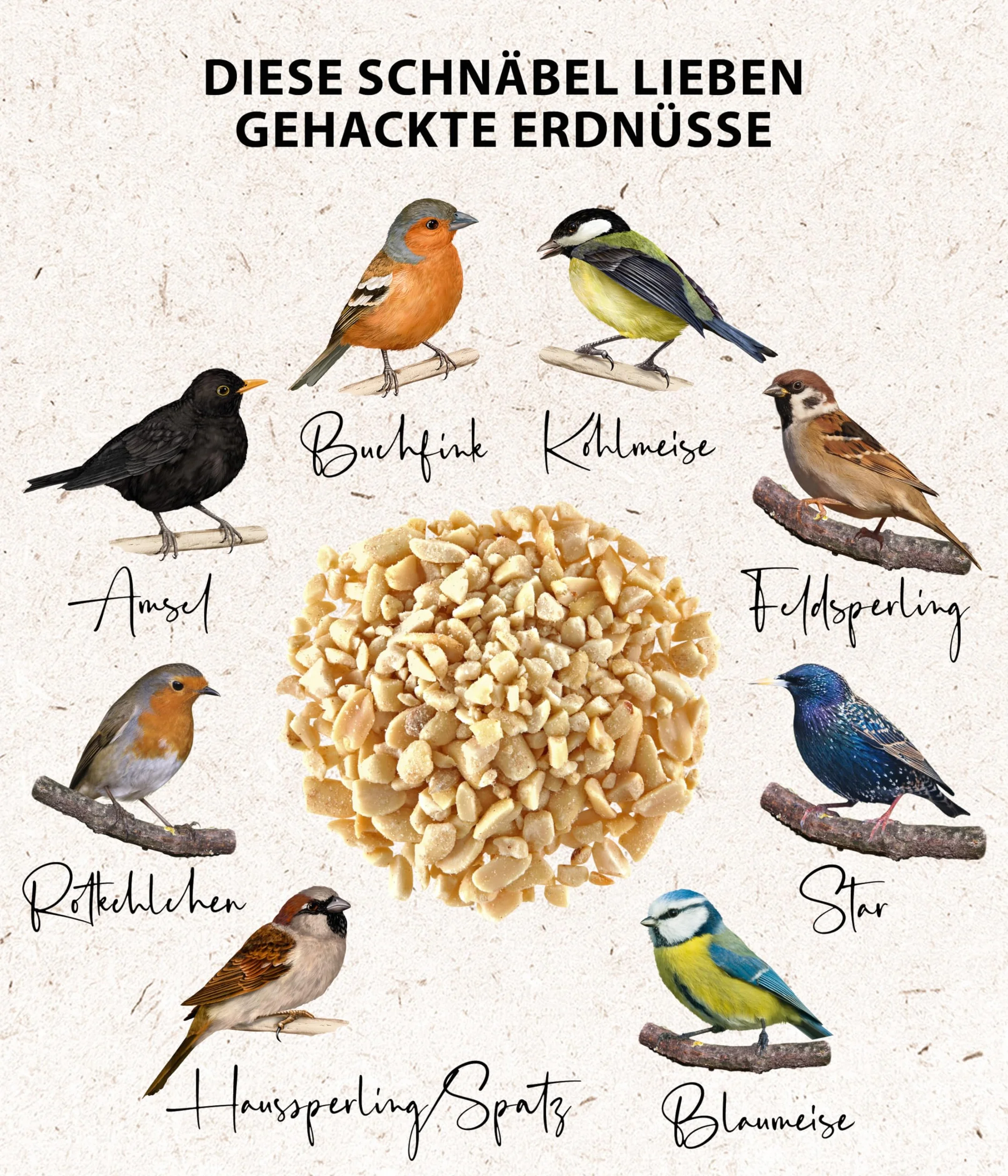 Dehner Natura karma dla dzikich ptaków orzeszki ziemne bez łupin 10 kg
