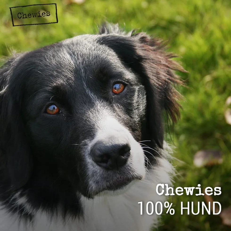 Chewies Zabawka dla psów z drewna kawowego 100% naturalna pałeczka do żucia rozmiar XS
