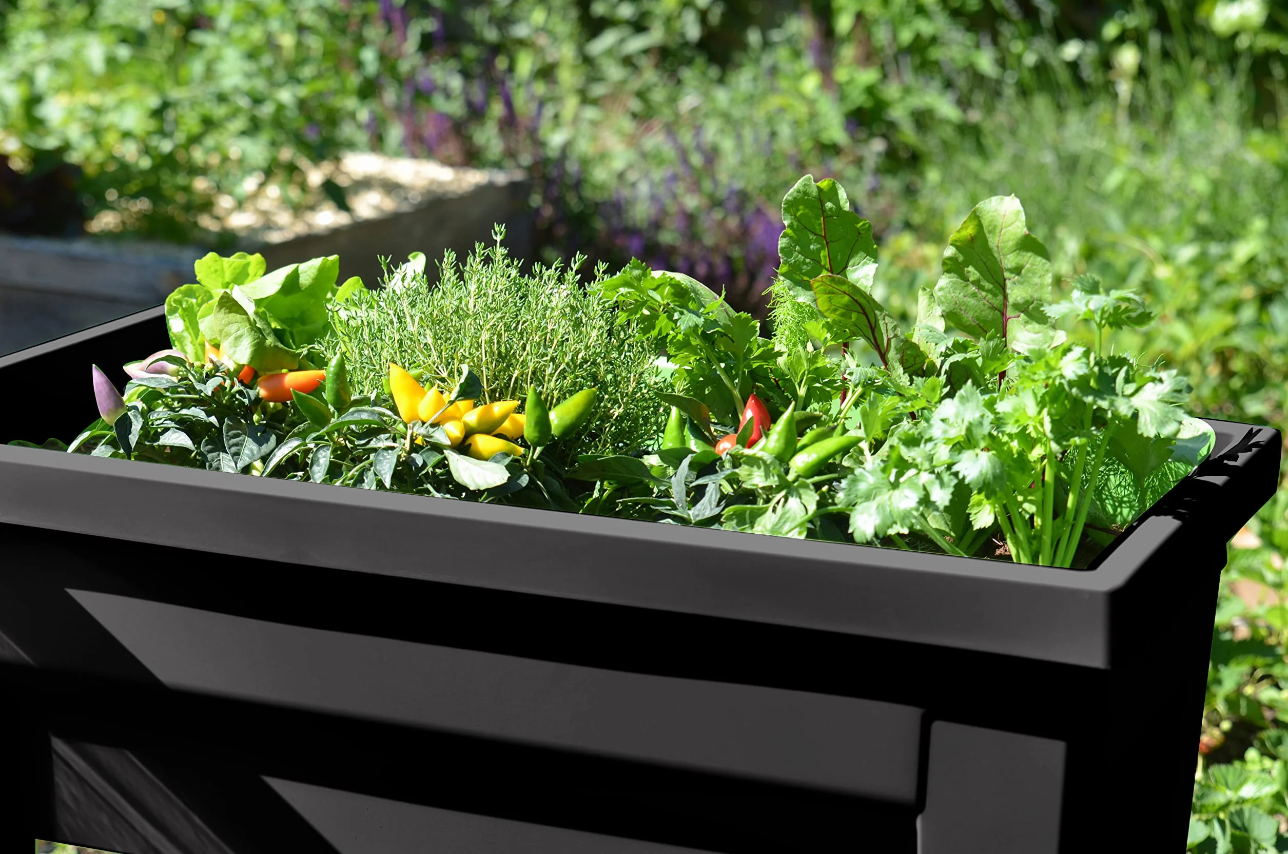 EDA PLASTIQUES Raum Potager Vegetable City 13923 G. ANT CX4 antracyt 76 x 38,5 x 68 cm