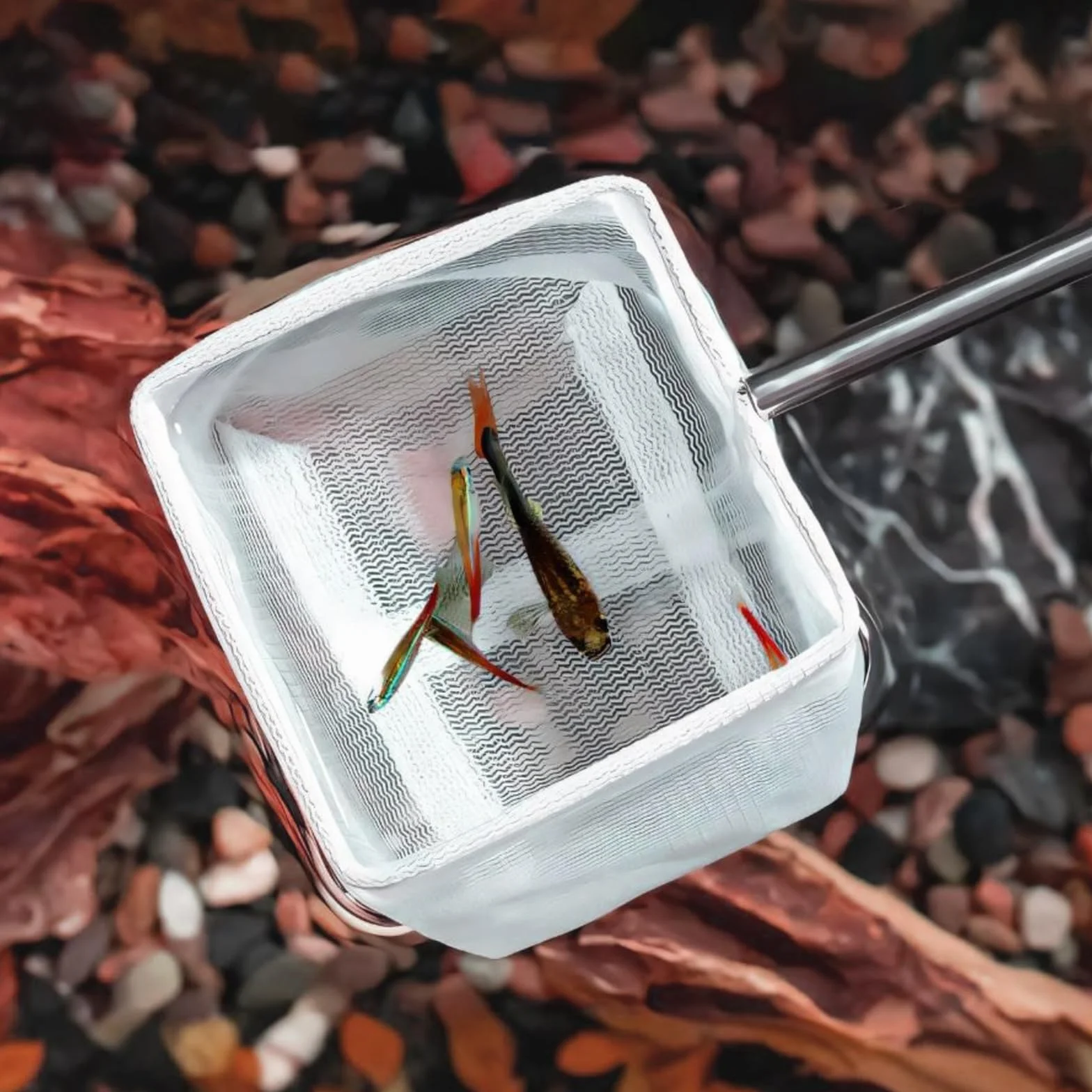 JIEYAO Siatka na ryby z wysuwanym uchwytem, 6,35 cm, mała siatka do akwarium, miękka, delikatna siatka wędkarska, teleskopowa siatka do akwarium, akcesoria do zbiornika, stawu, strumienia