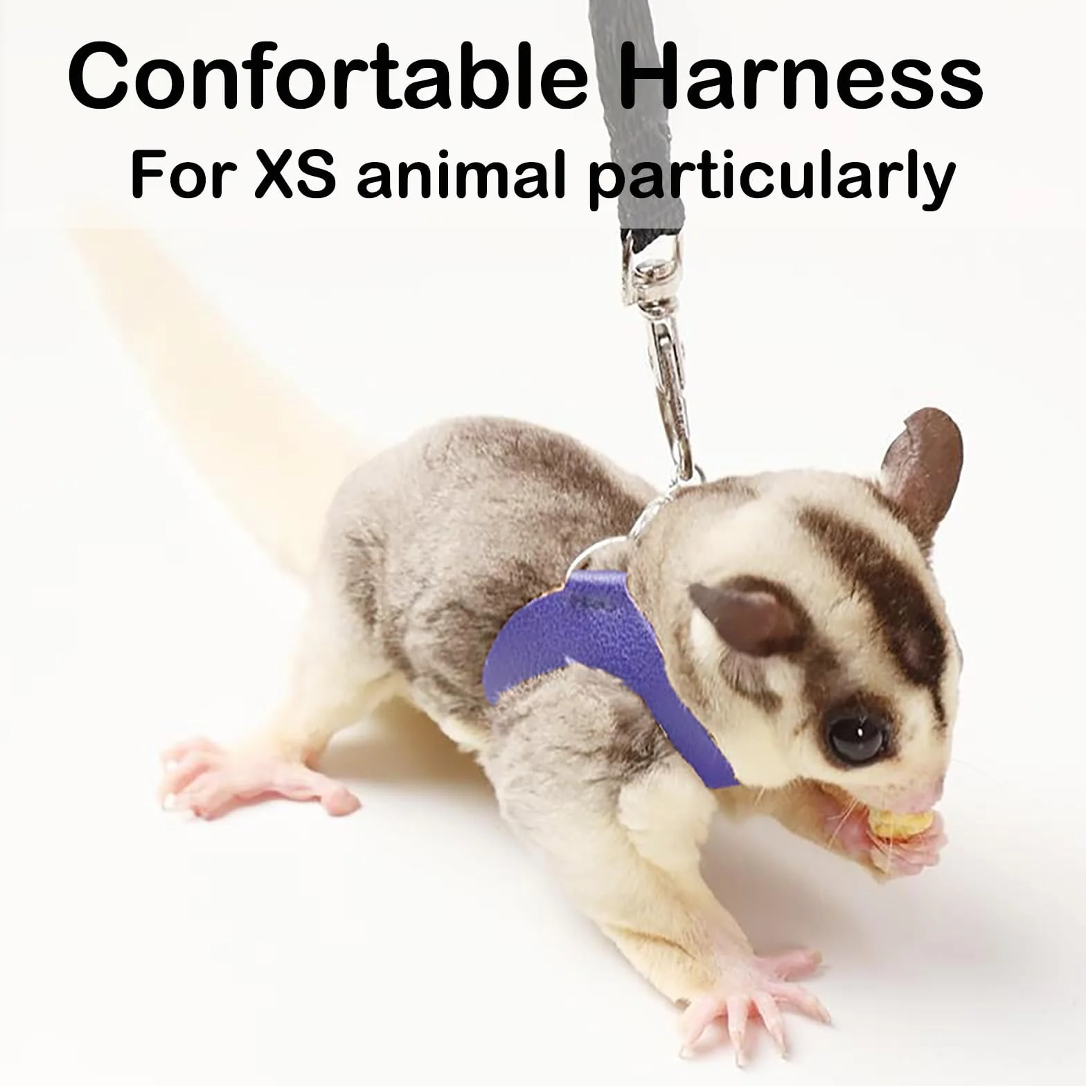 Zestaw uprzęży i smyczy Sugar Glider dla małych zwierząt kamizelka treningowa do chodzenia dla wiewiórki, chomika, szczura, niebieskiego, 3 szt
