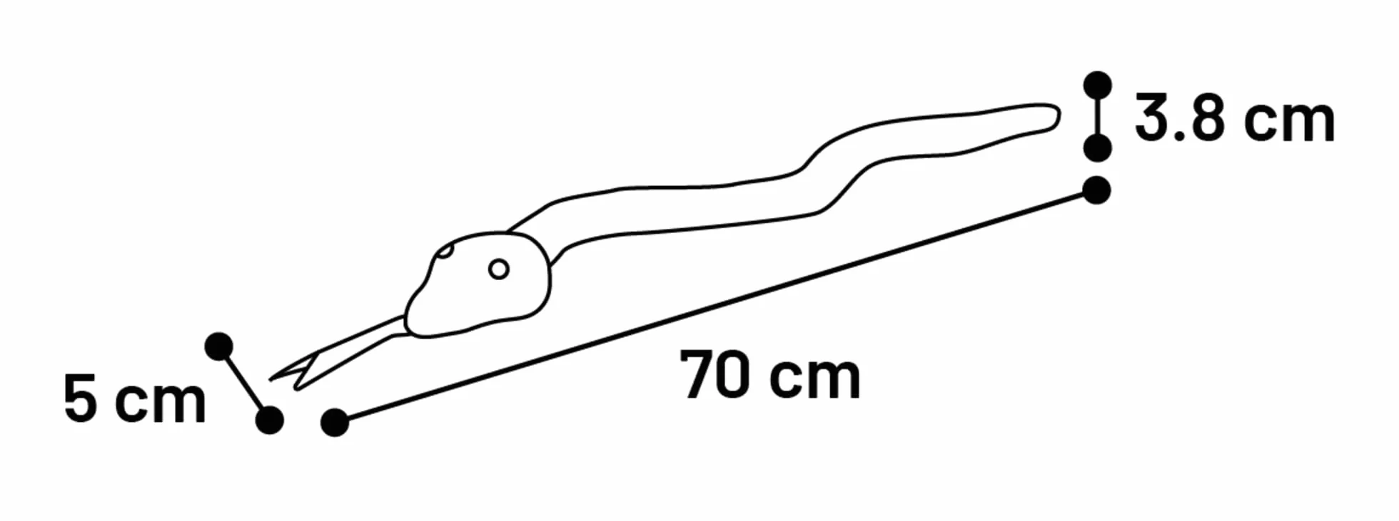 Flamingo Flocco czerwony przewód i wąż zabawka dla psa - 70x5x3,8cm - z piszczeniem - pomaga zapobiegać płytce nazębnej i masie dziąseł