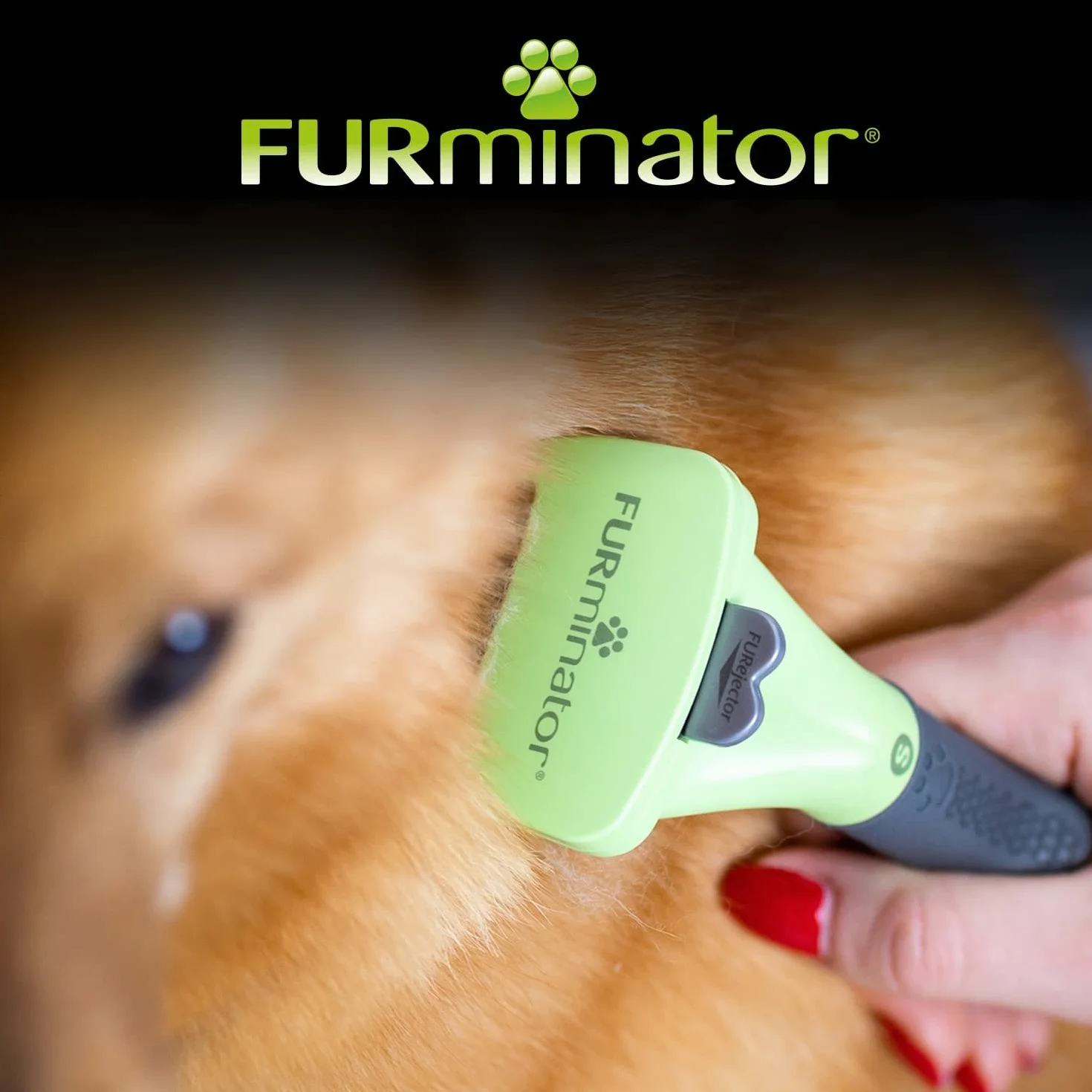 Furminator T691654 Szczotka Dla Psów, S, Bezbarwny