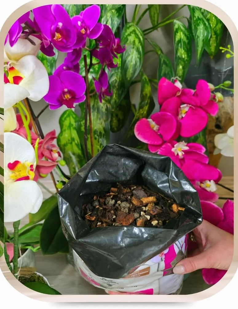 KALINOVA Podłoże do storczyków 5L – kora piniowa, kokos, keramzyt, idealne dla orchidei