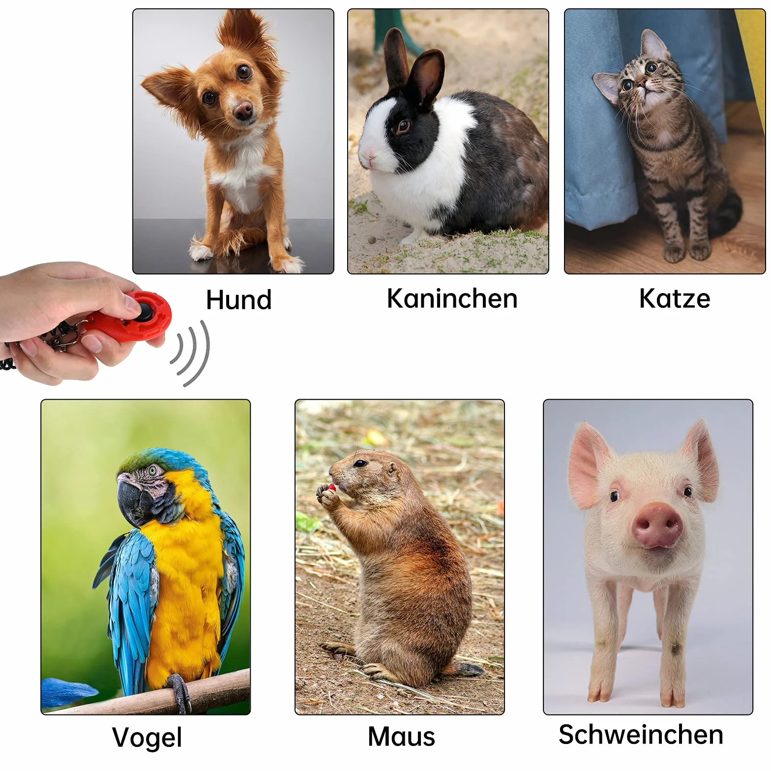 Faburo Profesjonalny clicker 5-częściowy zestaw do treningu clicker dla psów, kotów, koni