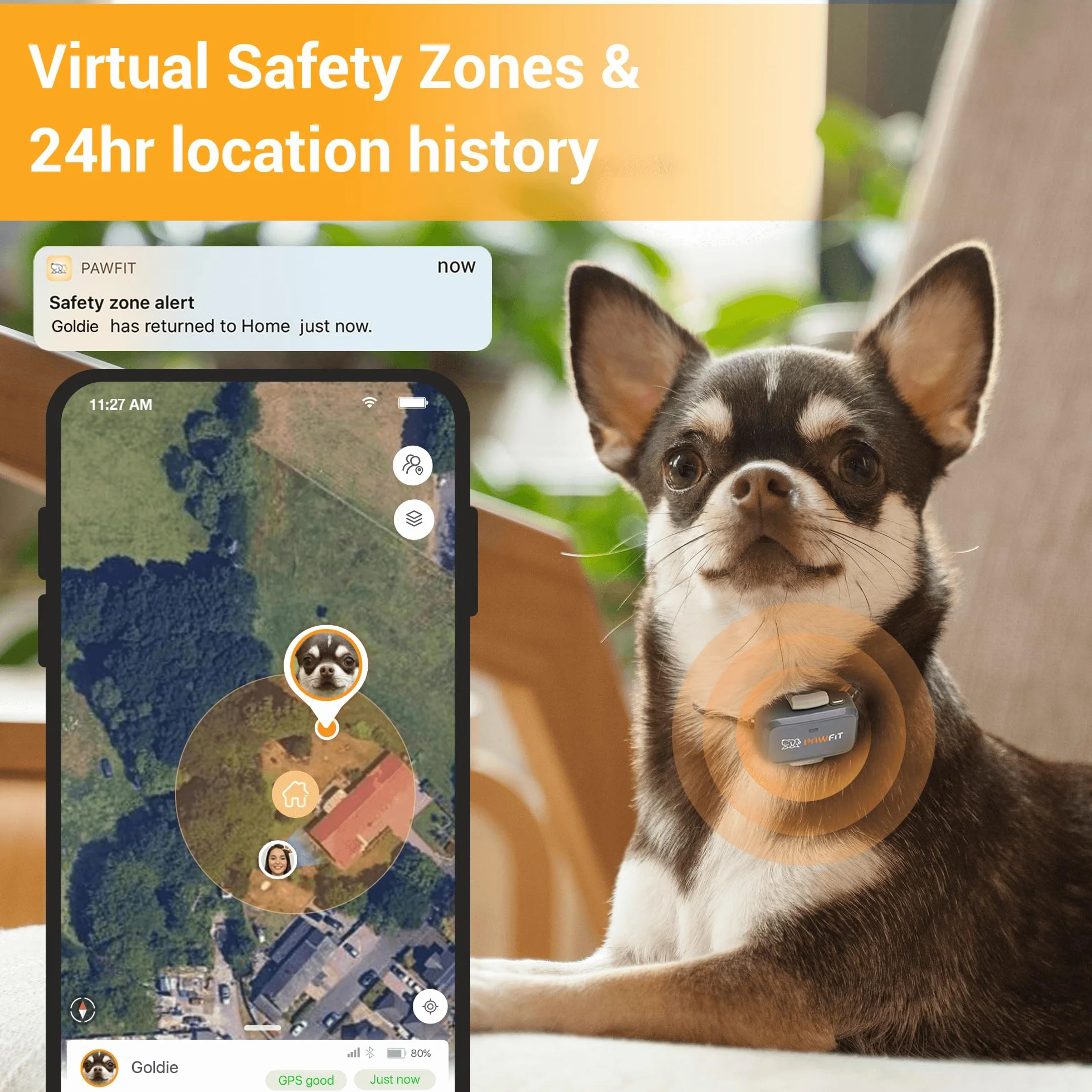 Pawfit Lite for Dogs 4g lokalizator GPS | śledzenie w czasie rzeczywistym | monitorowanie aktywności | historia lokalizacji | nieograniczony zasięg | obroża bezpieczeństwa w zestawie | liliowy szary