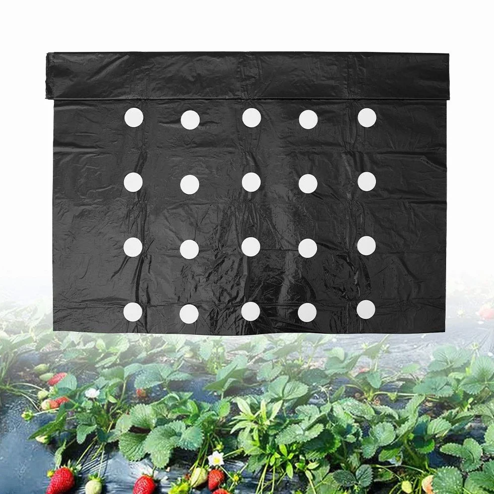 Keyohome Włóknina przeciw chwastom 10 x 0,95 m, filc geowłóknina ogrodowa z otworami do sadzenia, oddychająca membrana PE Anti UV, folia z tworzywa sztucznego do ogrodu warzywnego i roślin