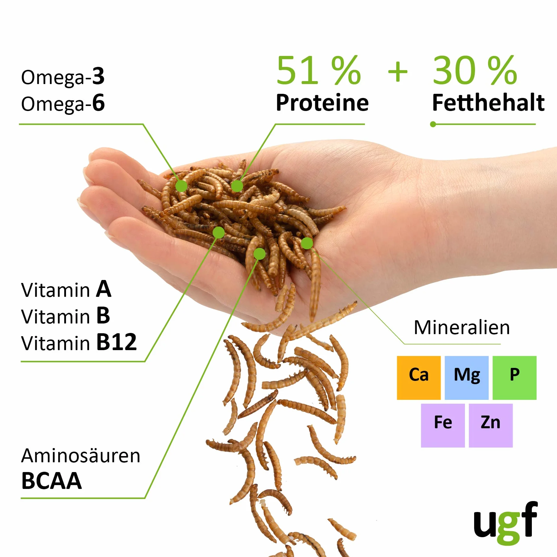 UGF - Premium suszone robaki mączne, 500 g, karma dla dzikich ptaków przez cały rok, karma dla jeży, karma dla wiewiórek, karma dla chomików