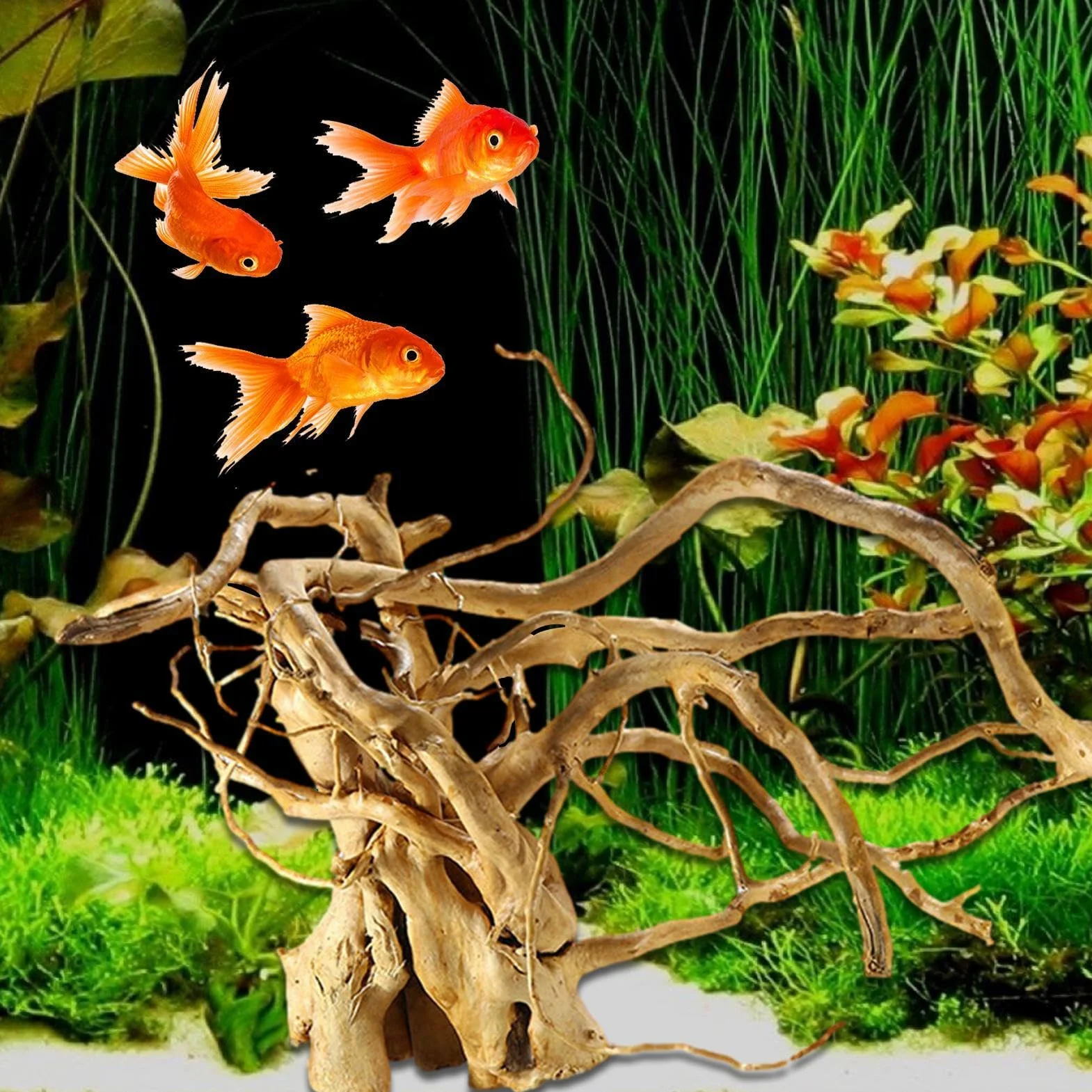 Generisch Aqua Ornaments korzenie dryfujące drewno do akwarium dekoracja terrarium